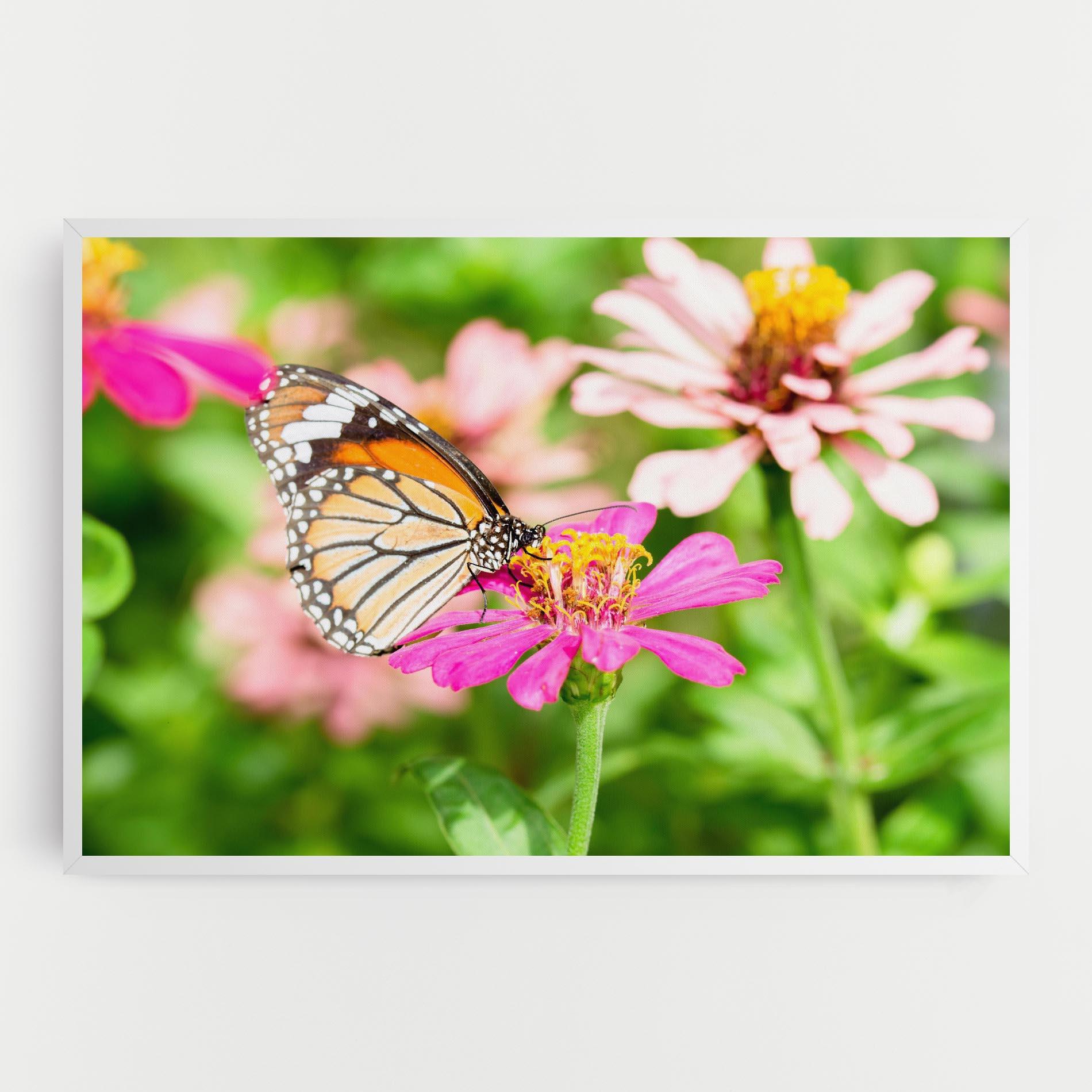 Vászonkép Daylight Butterfly mockup 0