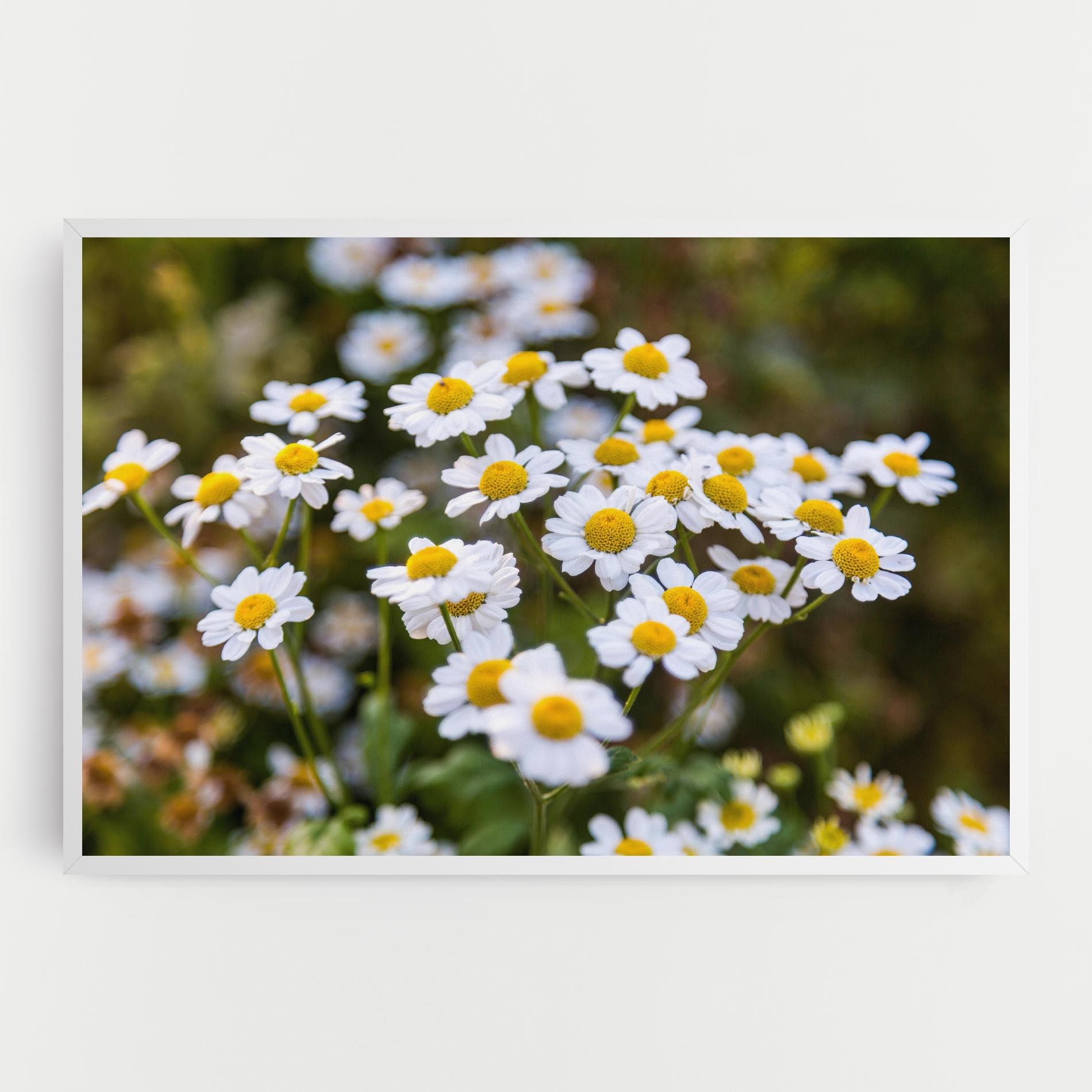 Flowers Garden mockup 0