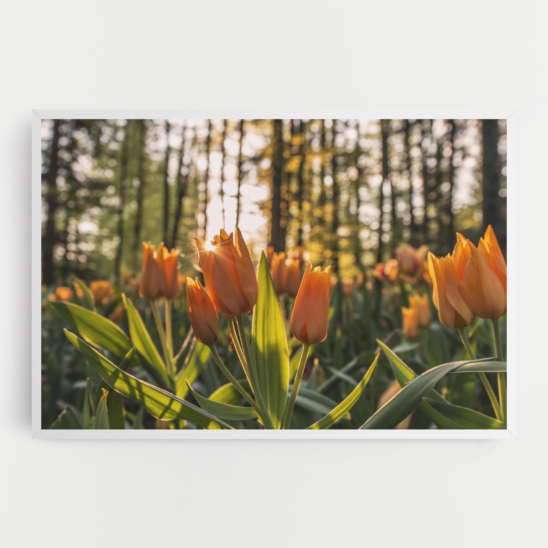 Vászonkép Forest Tulips mockup 0