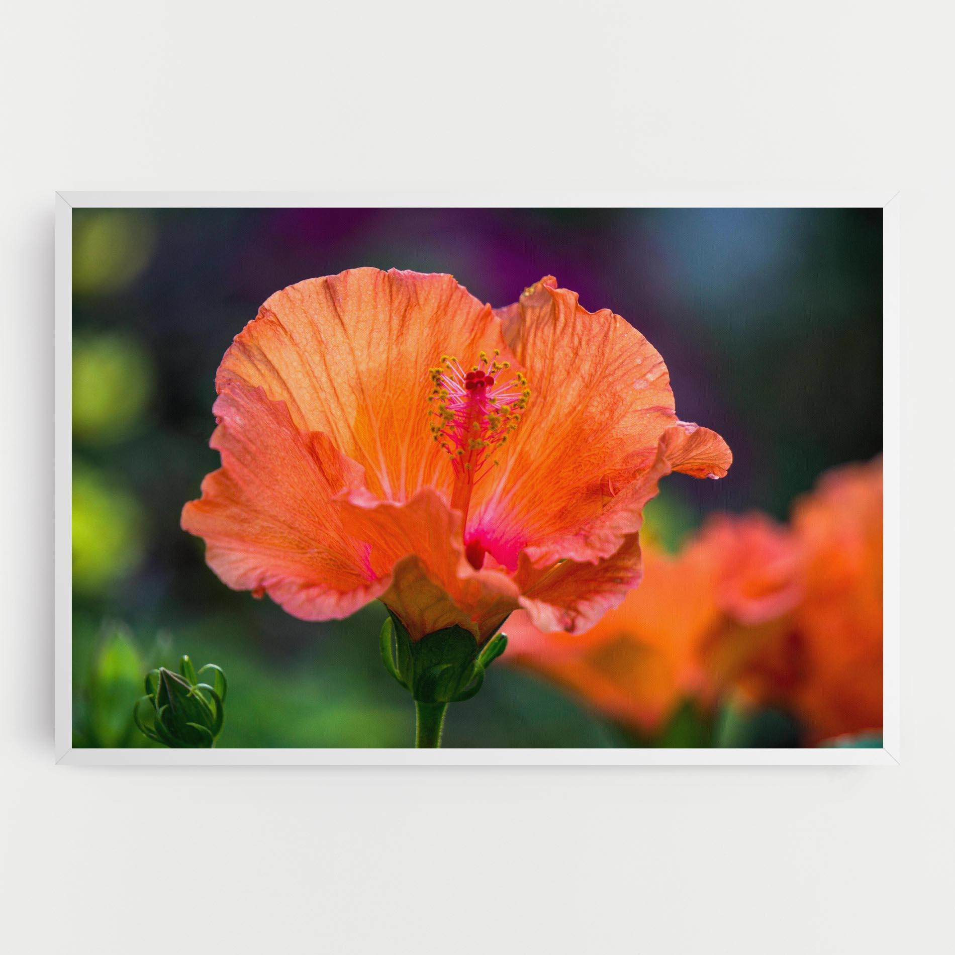 Vászonkép Orange Wild Flower mockup 0