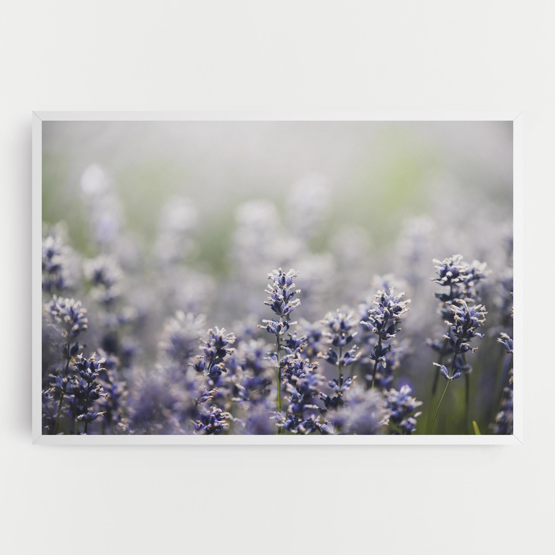 Vászonkép White Purple Wild mockup 0
