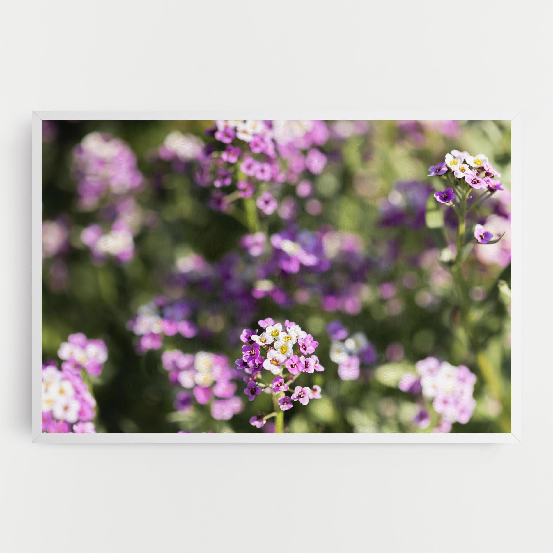 Vászonkép Wild Purple Field mockup 0