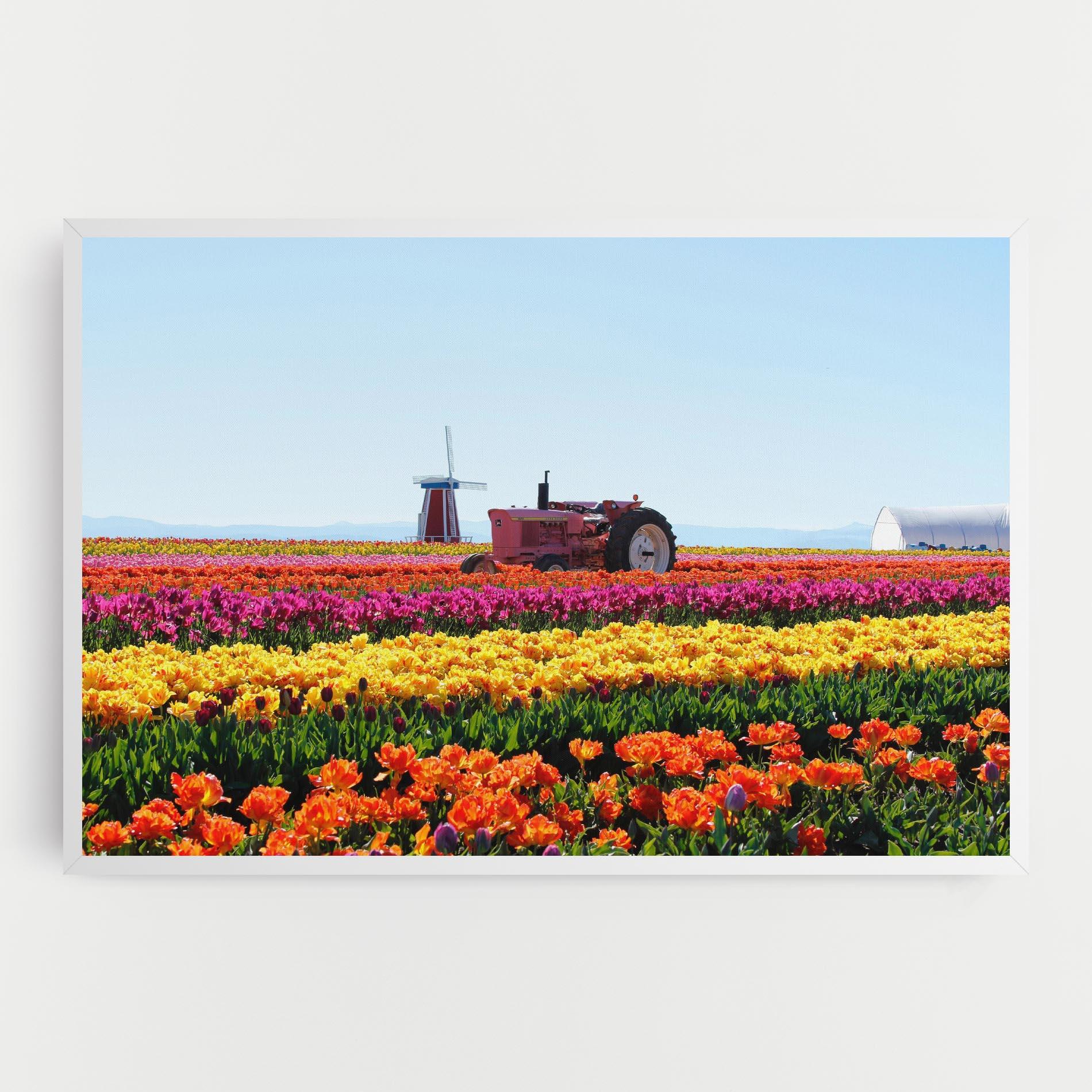 Vászonkép Working Wild Field mockup 0