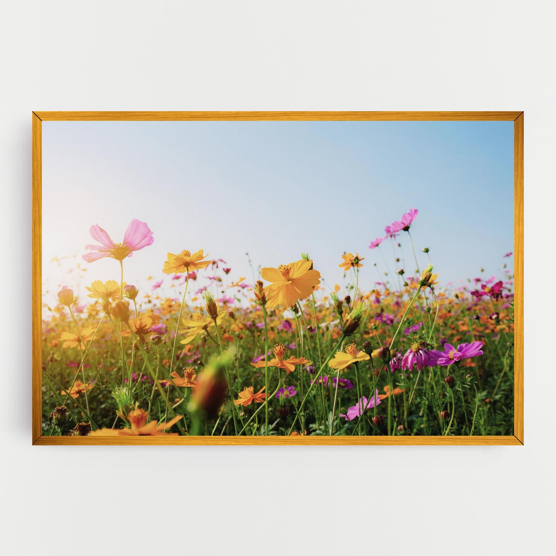 Vászonkép Cosmos Field Sunset mockup 0