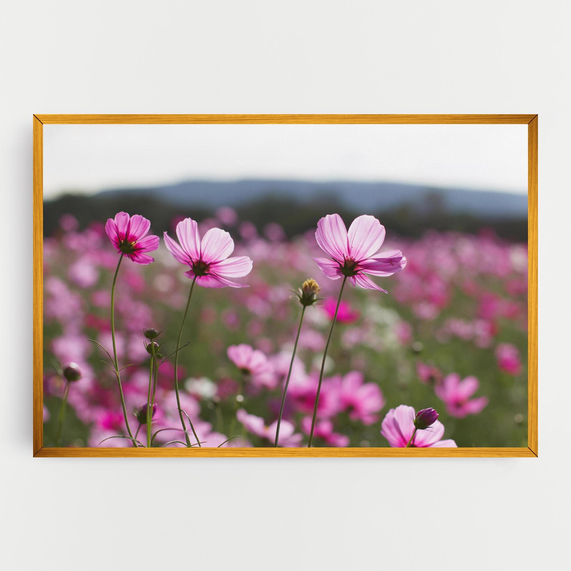 Vászonkép Cosmos Flower mockup 0