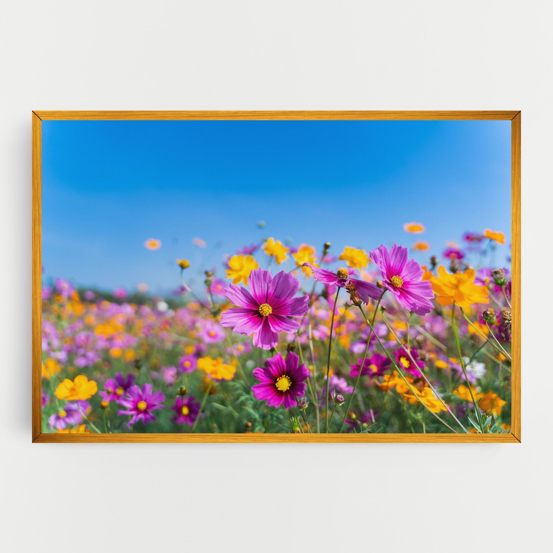 Vászonkép Cosmos Flowers Grassland mockup 0