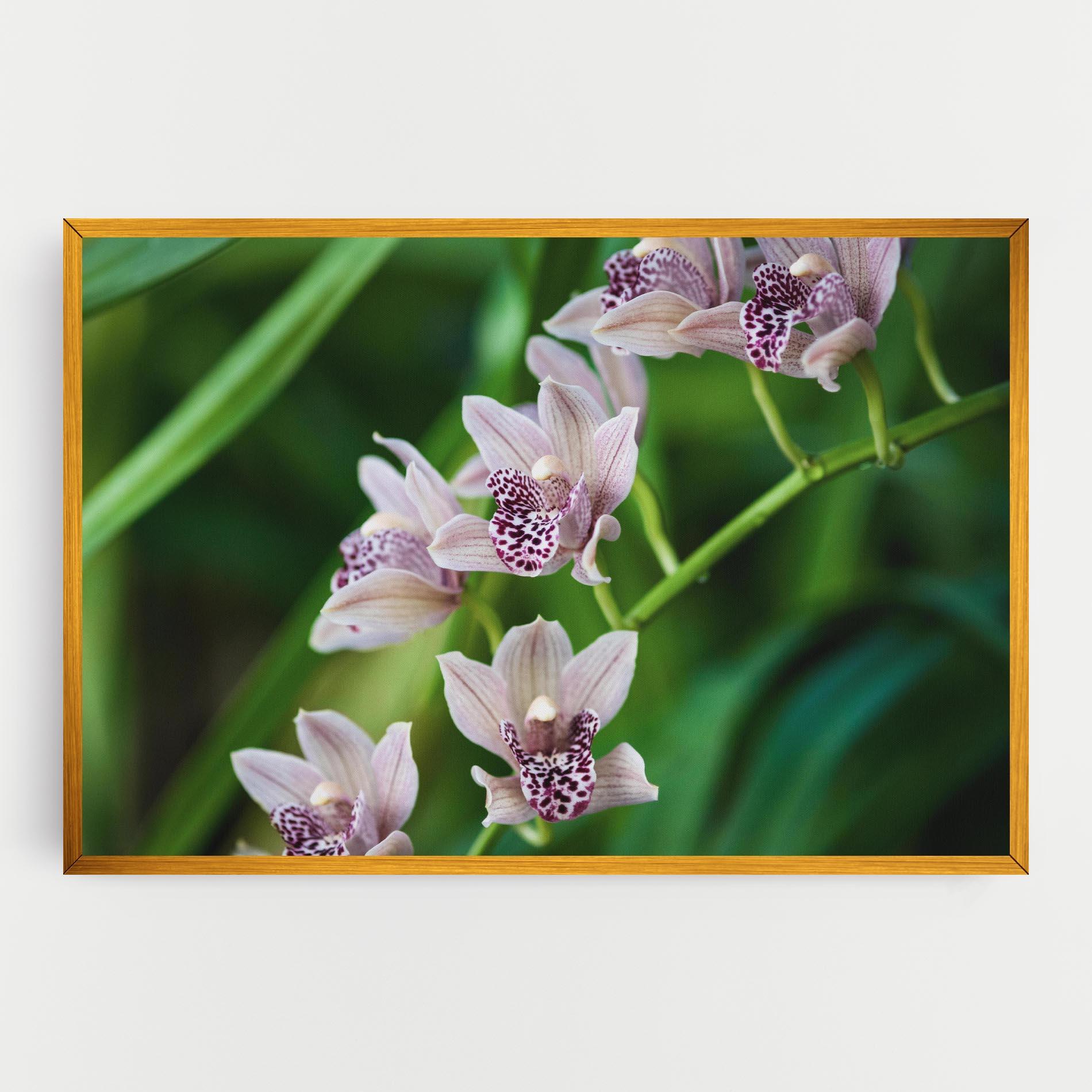 Vászonkép Cymbidium Orchid mockup 0