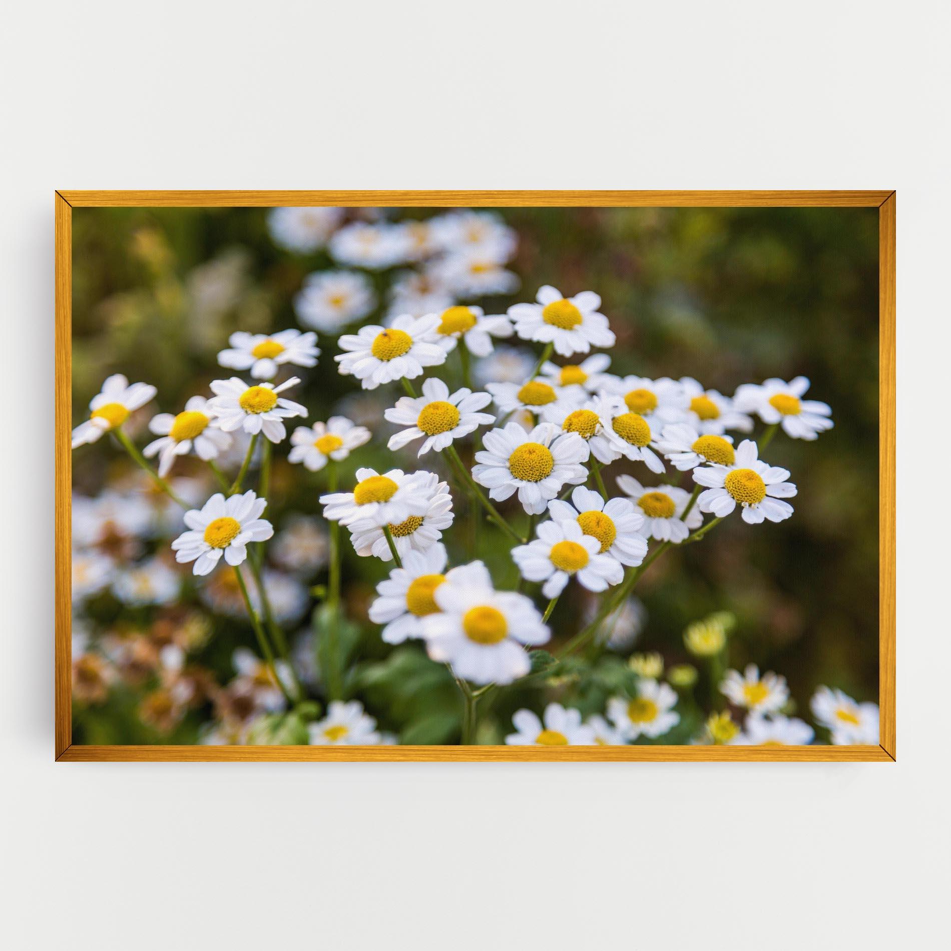 Vászonkép Flowers Garden mockup 0