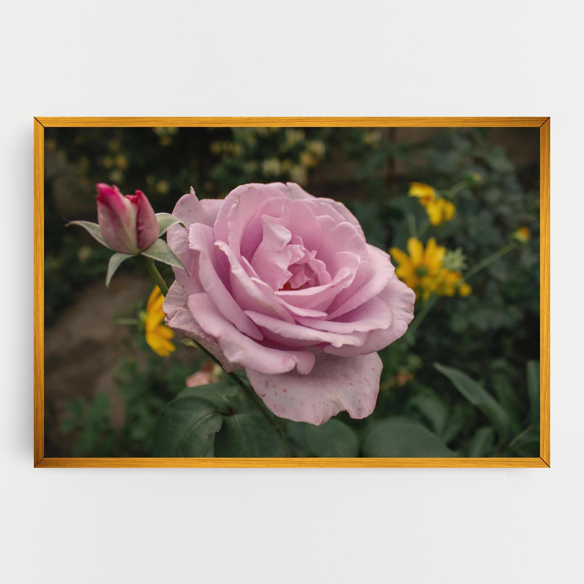 Vászonkép Garden Pink Rose mockup 0