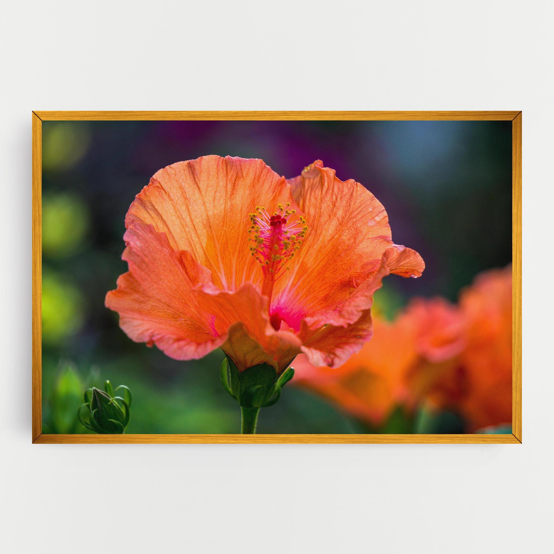 Vászonkép Orange Wild Flower mockup 0