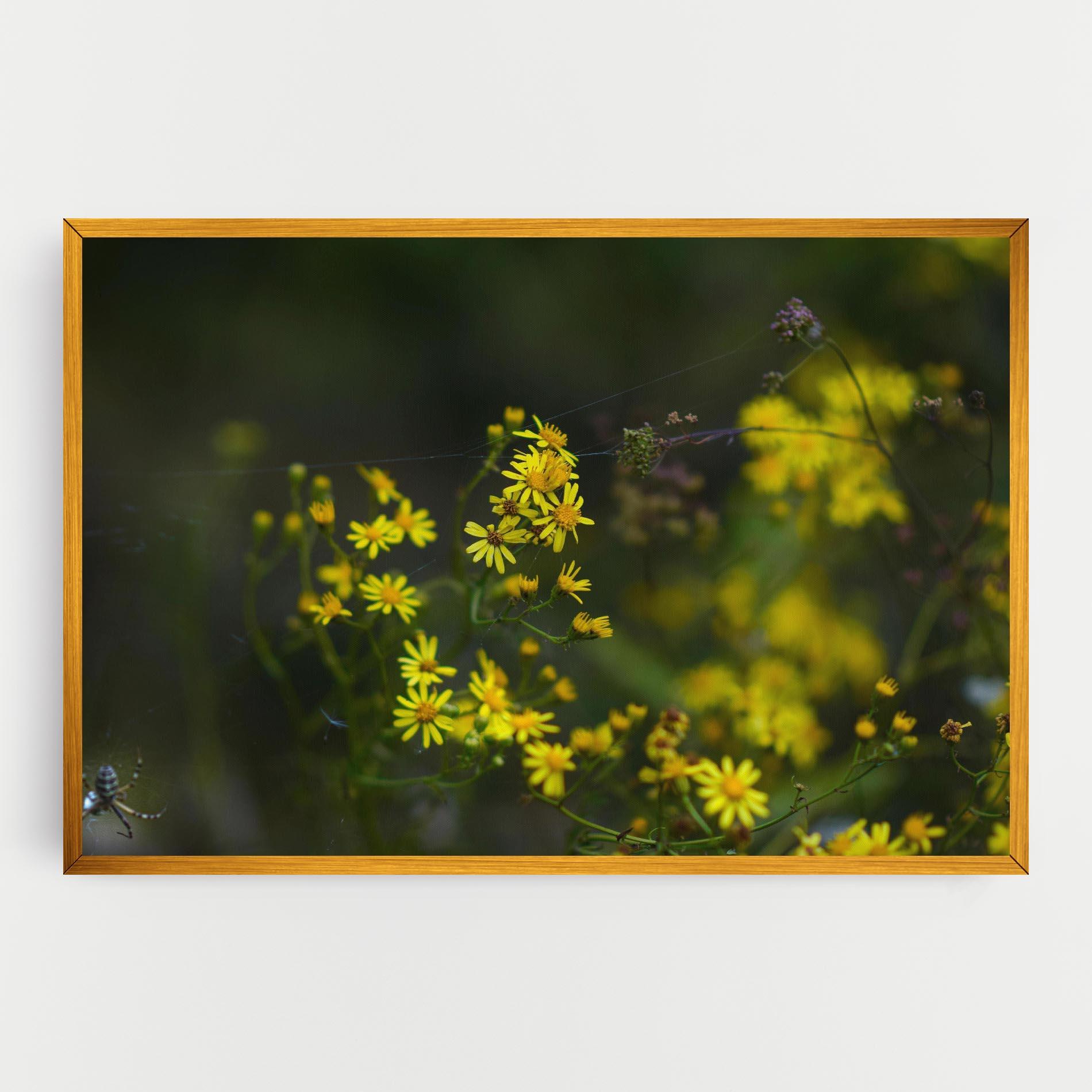 Vászonkép Small Wild Flowers mockup 0