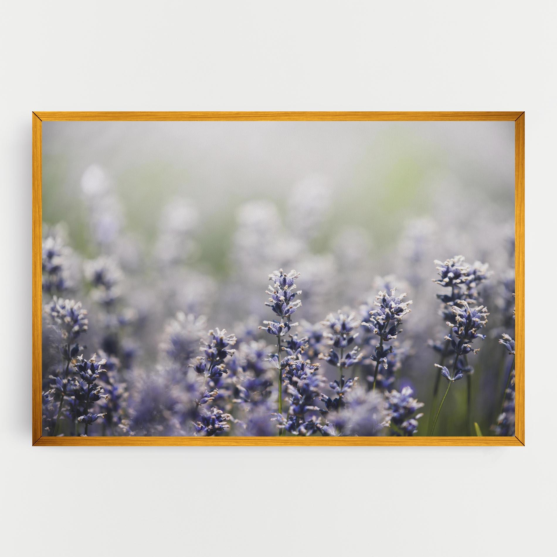 Vászonkép White Purple Wild mockup 0