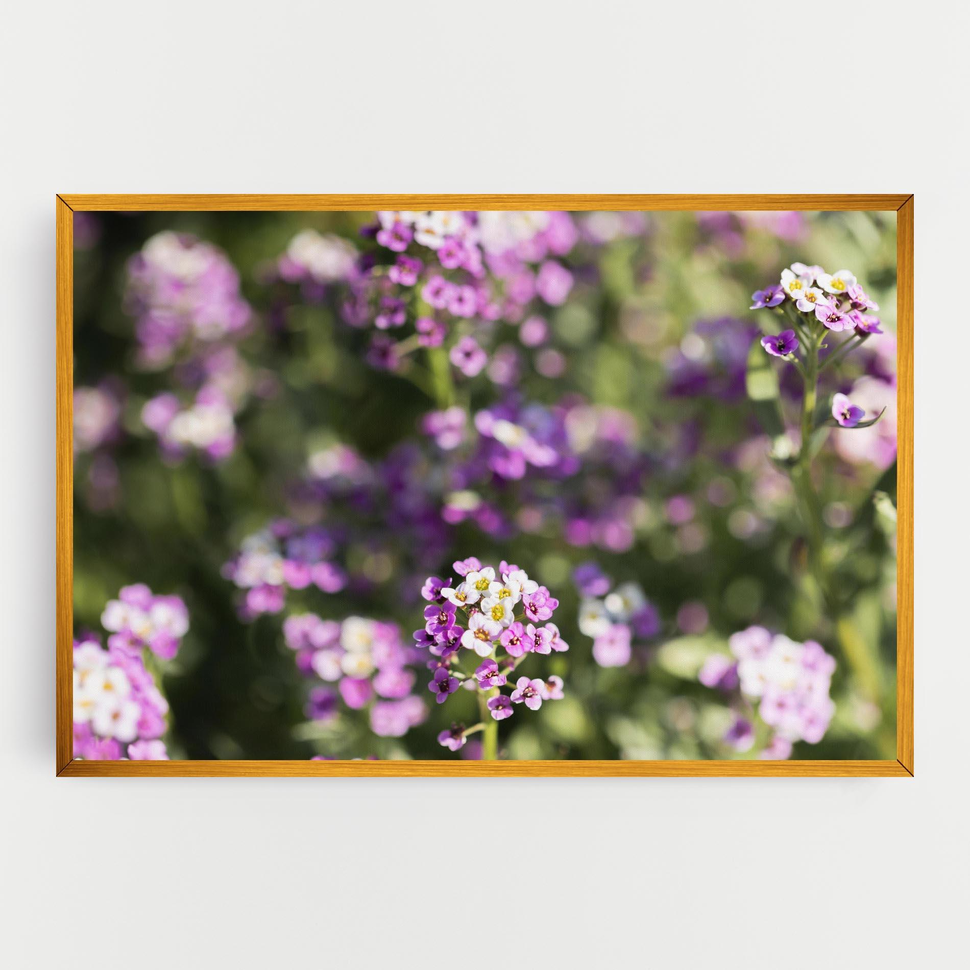 Vászonkép Wild Purple Field mockup 0