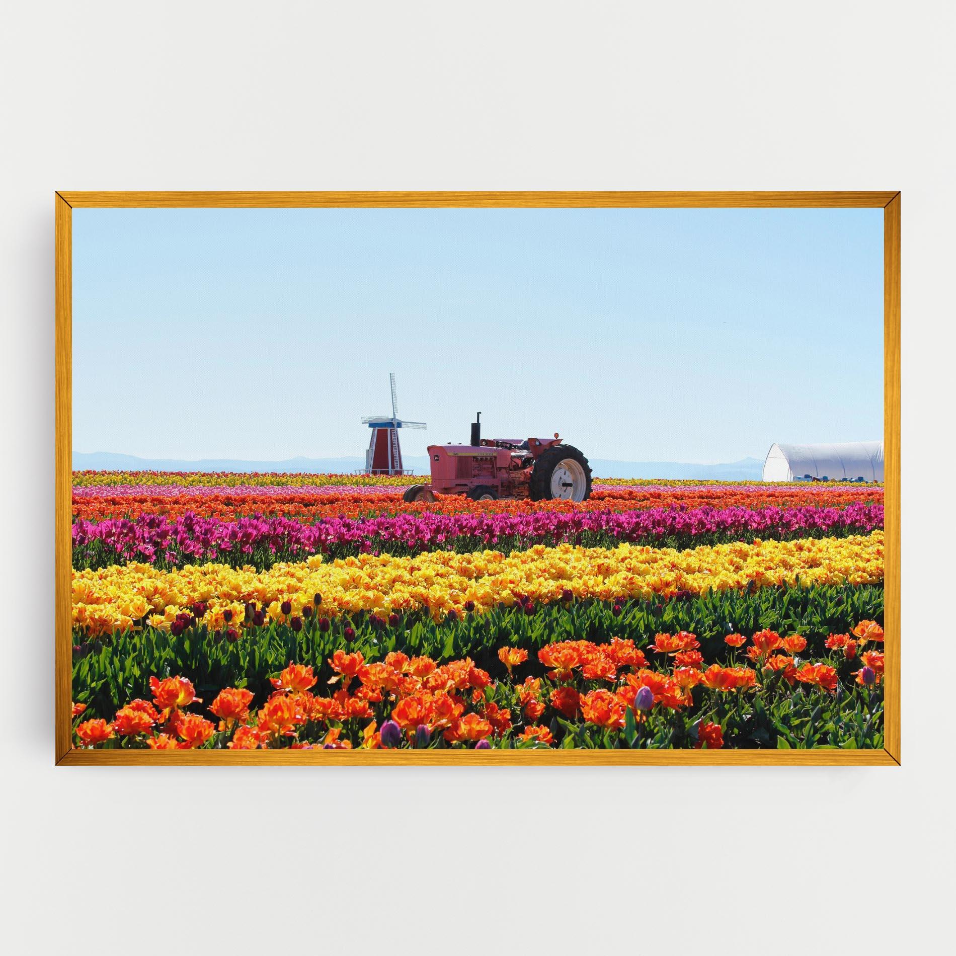 Vászonkép Working Wild Field mockup 0