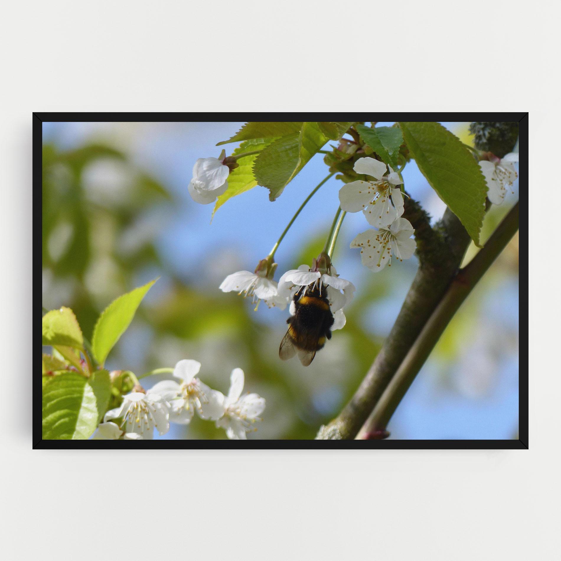 Vászonkép Bee Wild Tree mockup 0