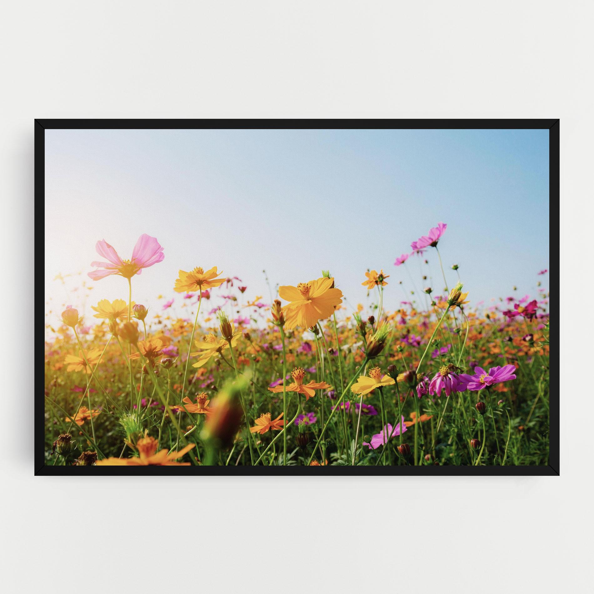 Vászonkép Cosmos Field Sunset mockup 0