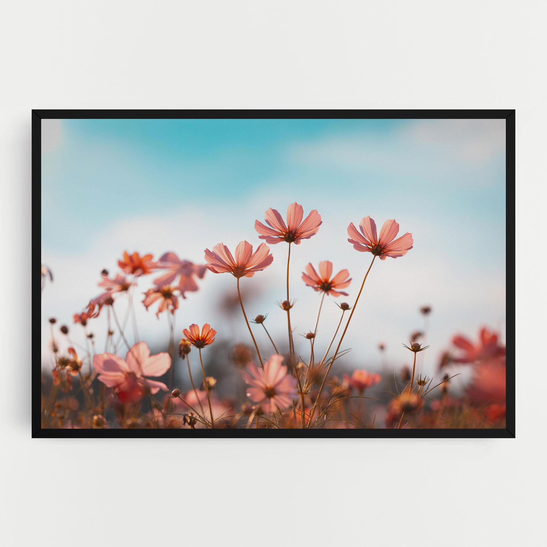 Vászonkép Cosmos Flowers Beautiful mockup 0