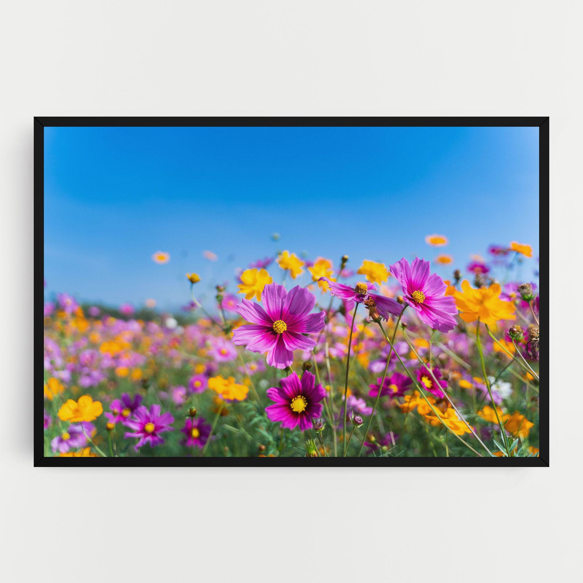 Vászonkép Cosmos Flowers Grassland mockup 0