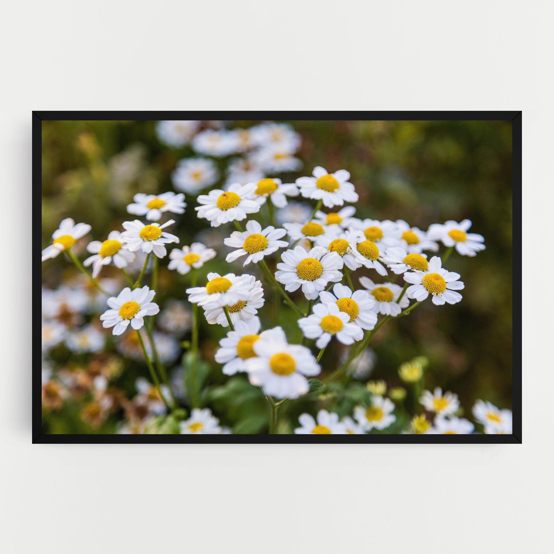 Vászonkép Flowers Garden mockup 0