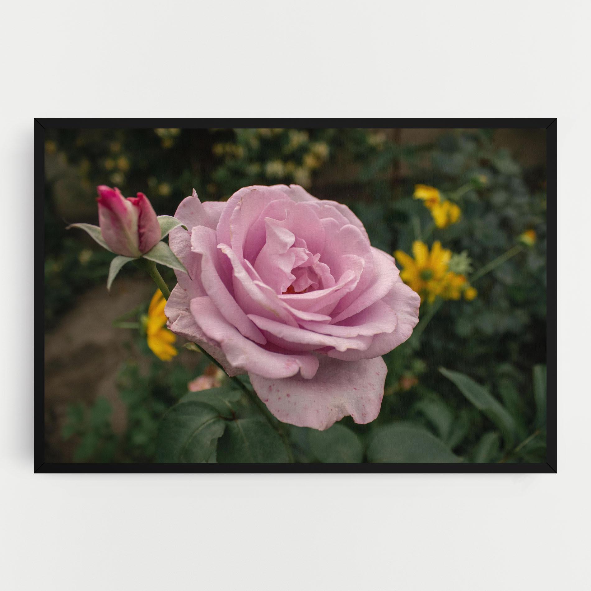 Vászonkép Garden Pink Rose mockup 0