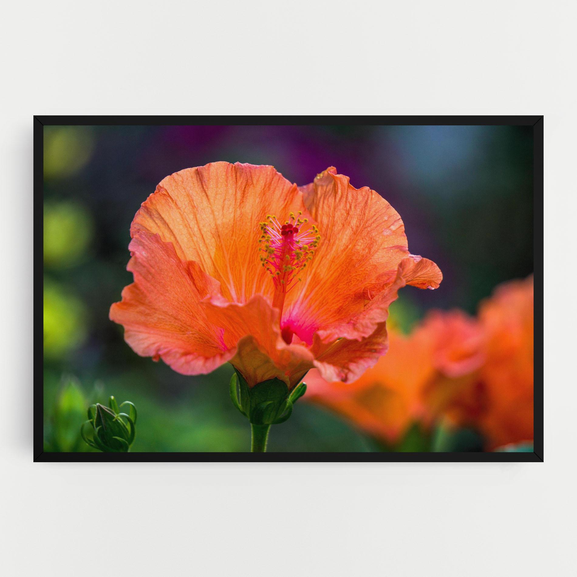 Vászonkép Orange Wild Flower mockup 0