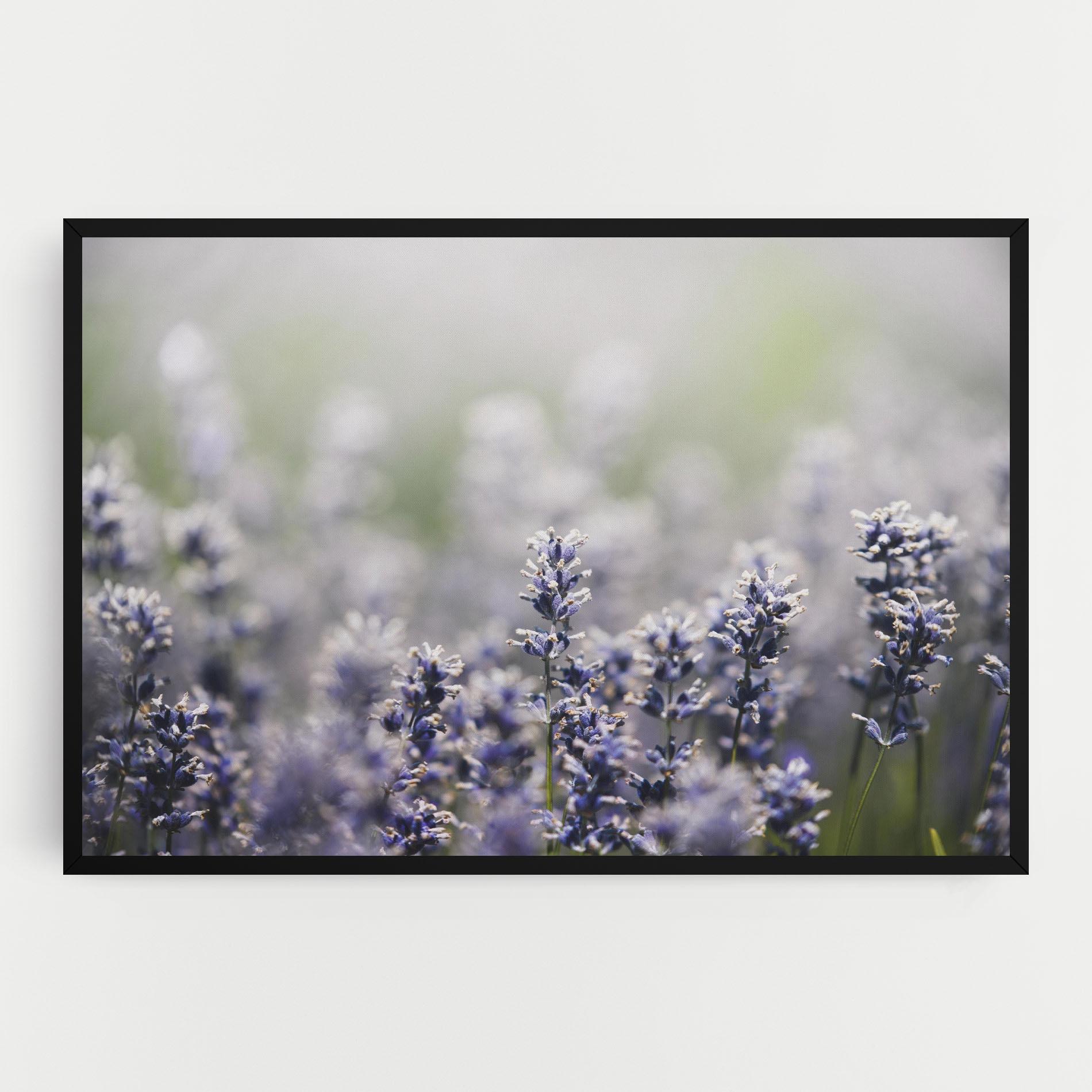 Vászonkép White Purple Wild mockup 0