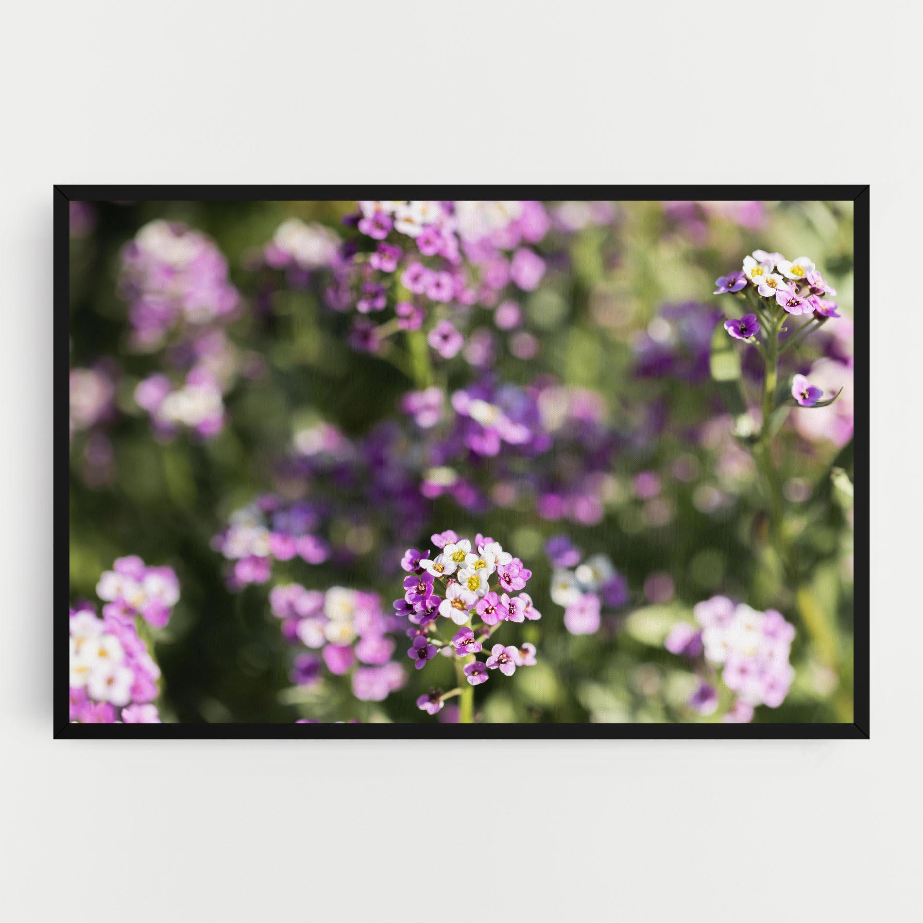 Vászonkép Wild Purple Field mockup 0