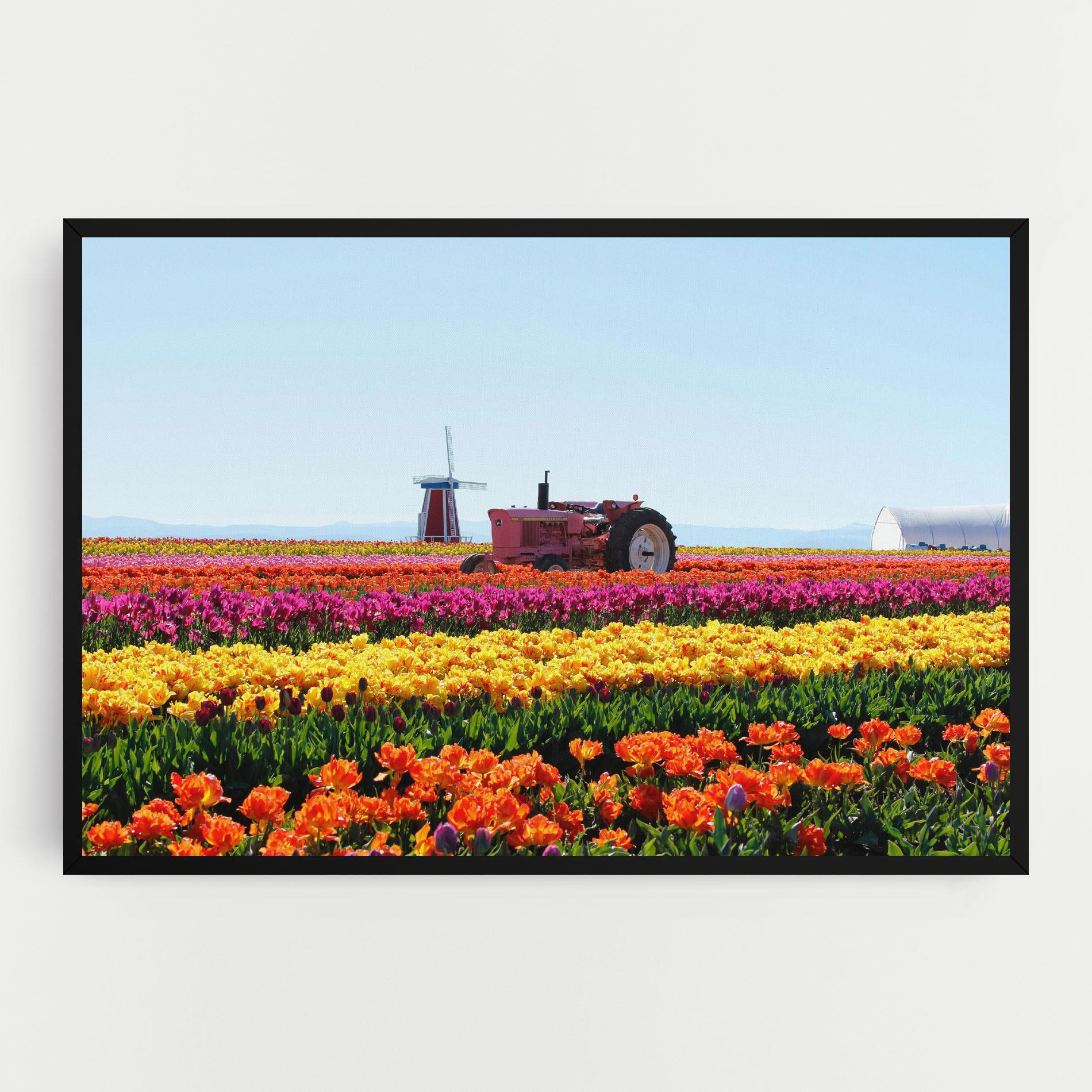 Vászonkép Working Wild Field mockup 0