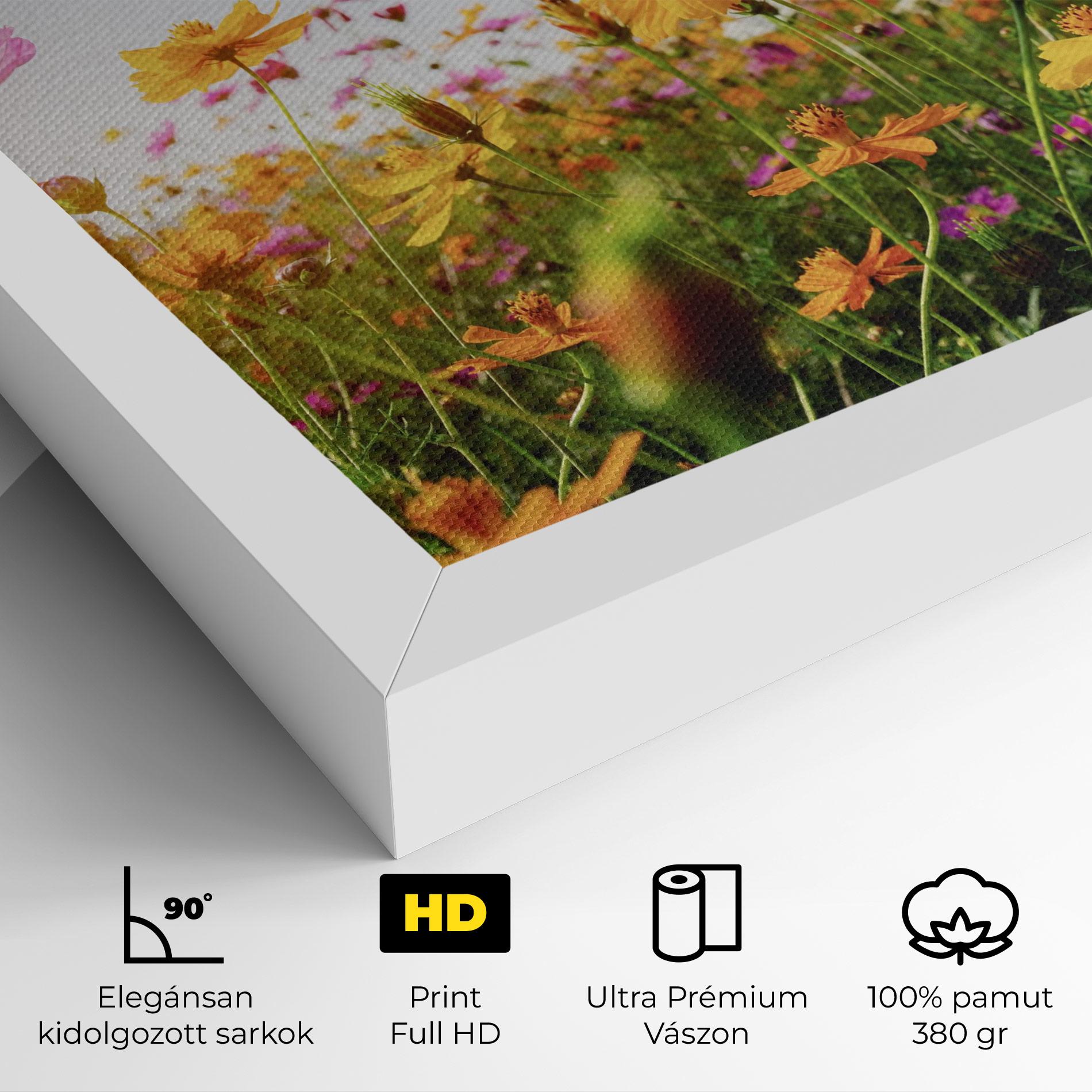 Vászonkép Cosmos Field Sunset mockup 4