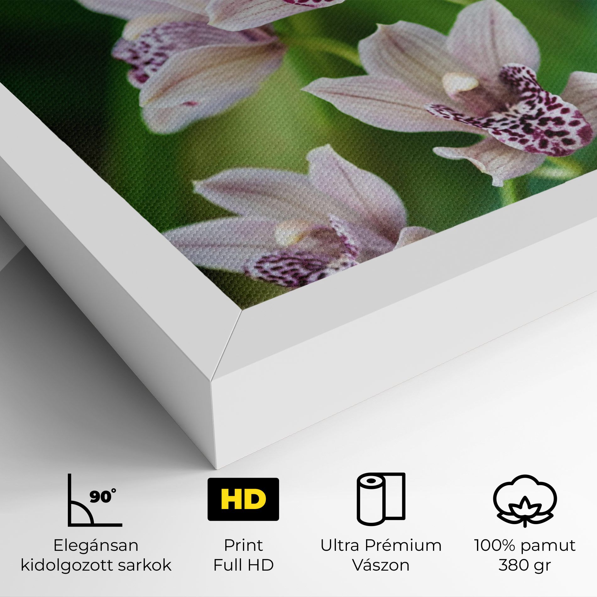 Cymbidium Orchid mockup 4