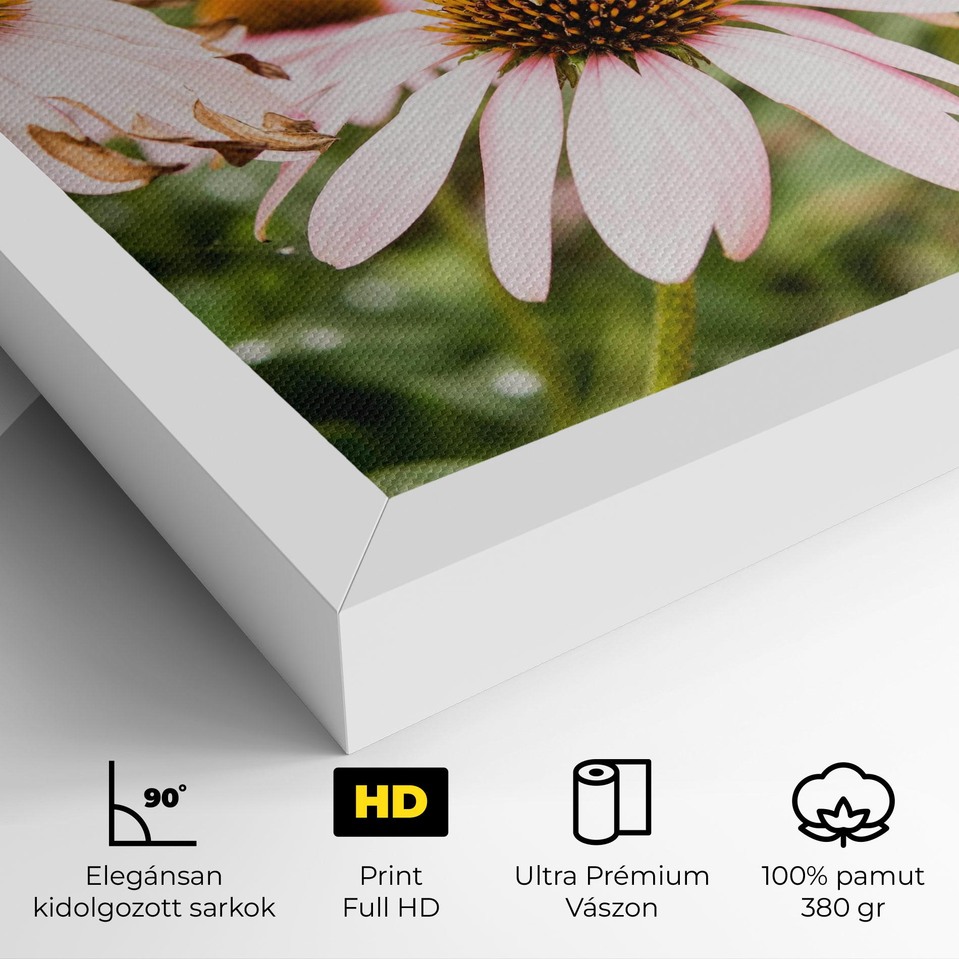 Vászonkép Daylight Bee mockup 4
