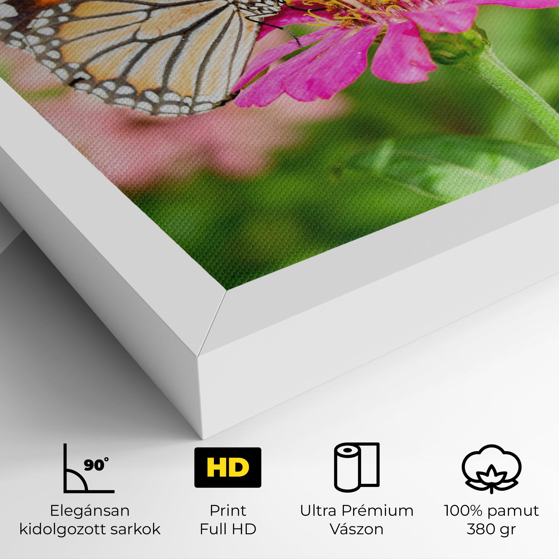 Vászonkép Daylight Butterfly mockup 4