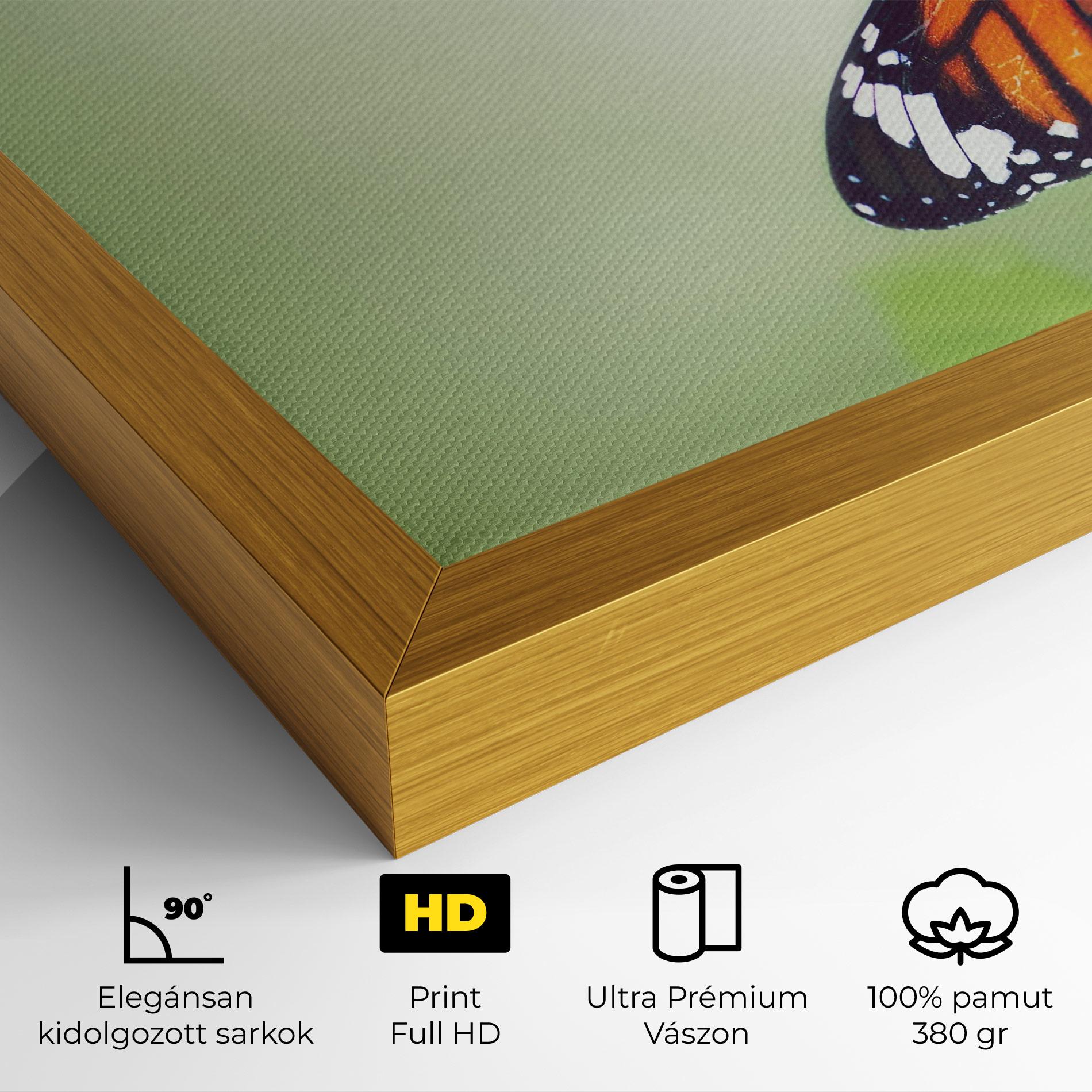 Vászonkép Butterfly Wild Plant mockup 4