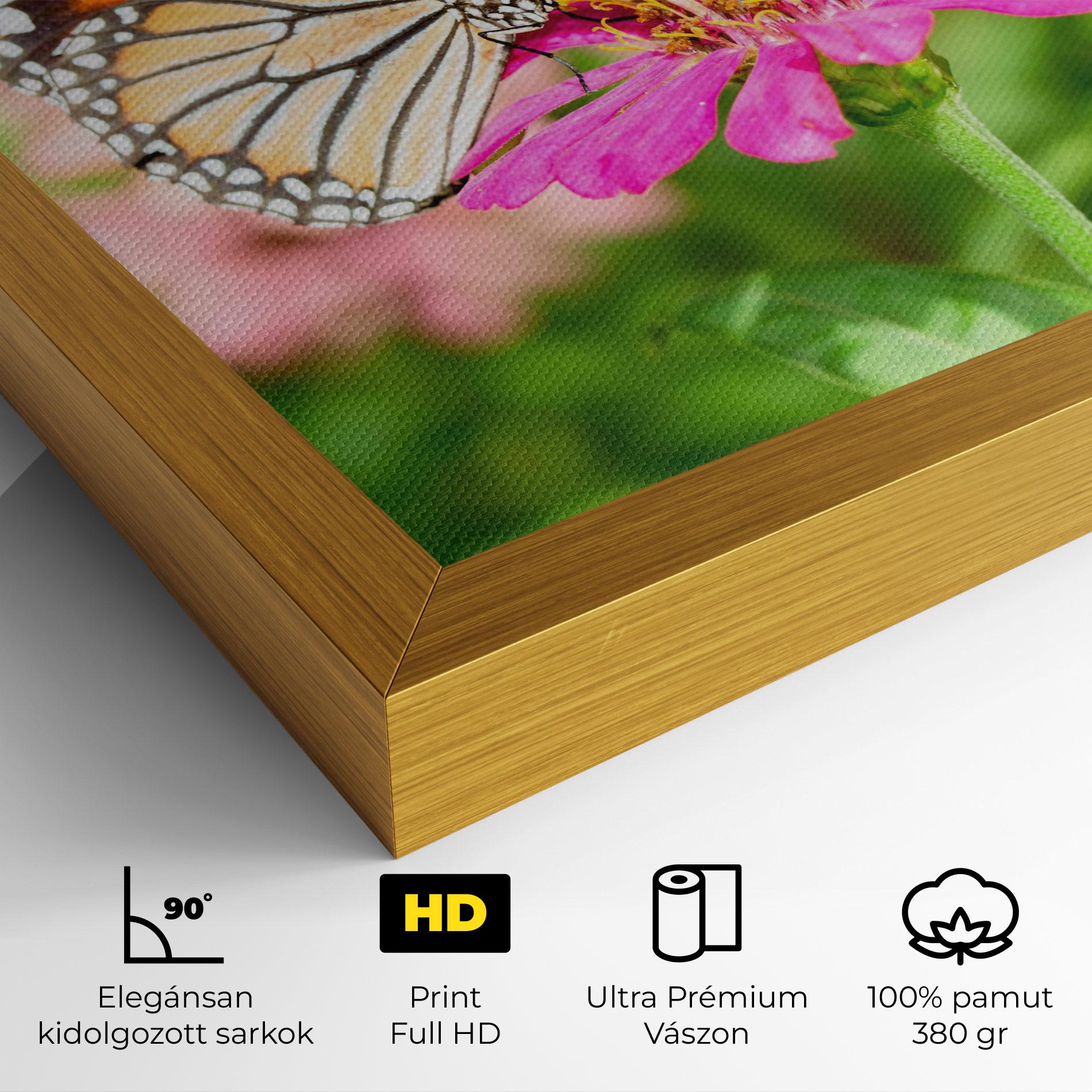 Vászonkép Daylight Butterfly mockup 4