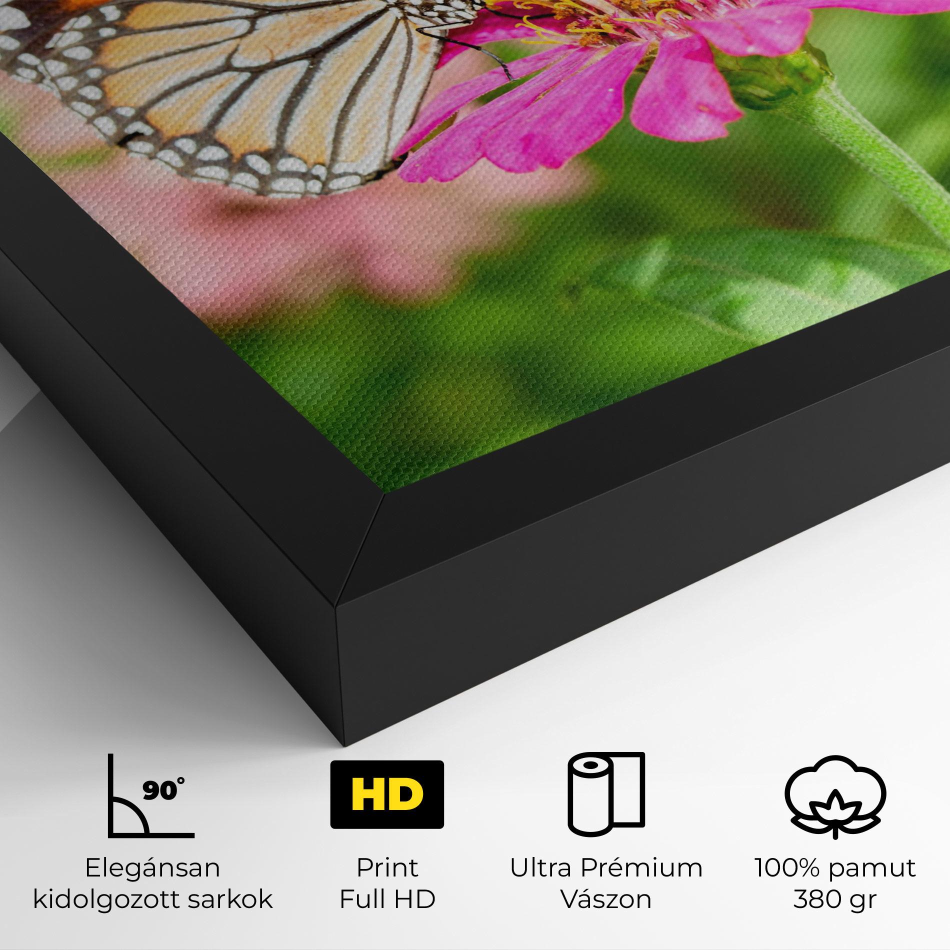 Vászonkép Daylight Butterfly mockup 4