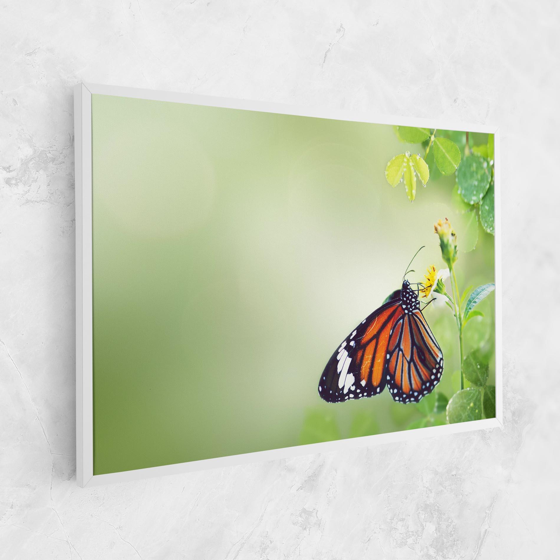 Vászonkép Butterfly Wild Plant mockup 1