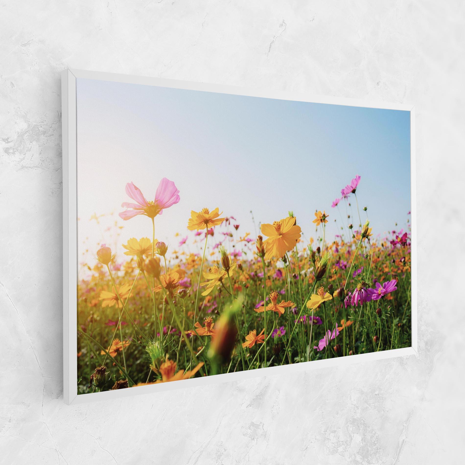 Vászonkép Cosmos Field Sunset mockup 1
