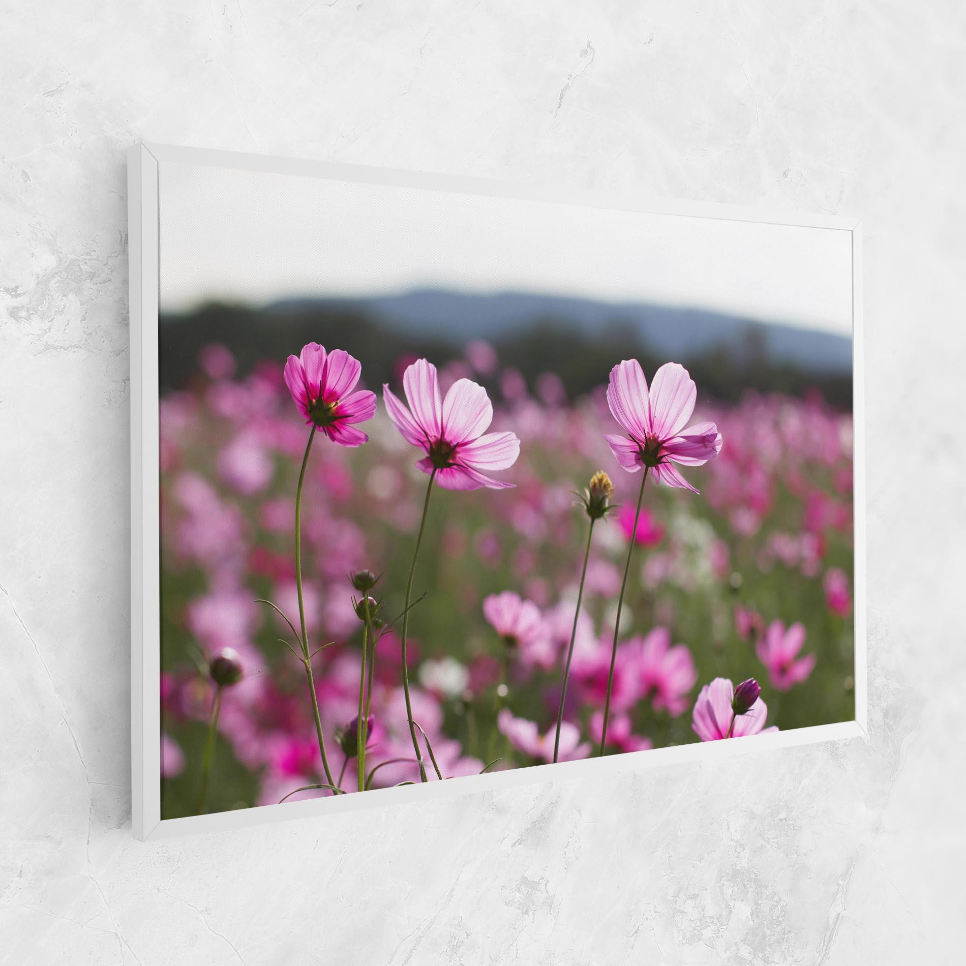 Vászonkép Cosmos Flower mockup 1