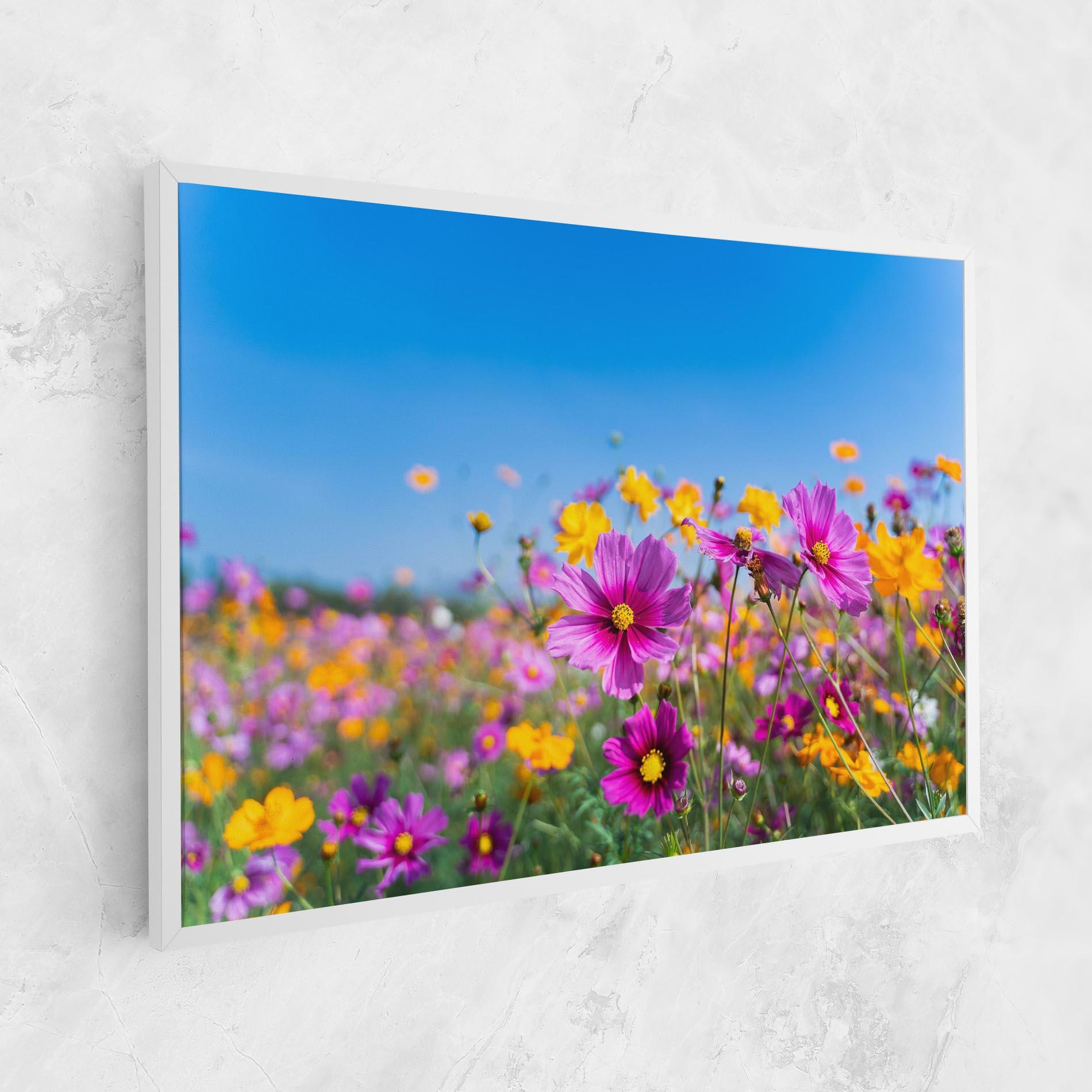 Vászonkép Cosmos Flowers Grassland mockup 1