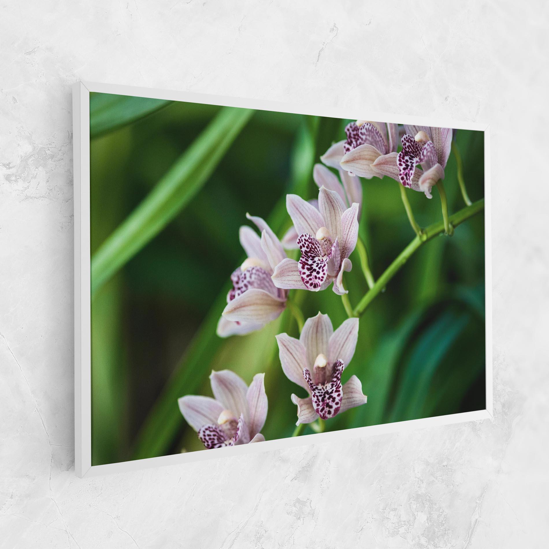 Vászonkép Cymbidium Orchid mockup 1