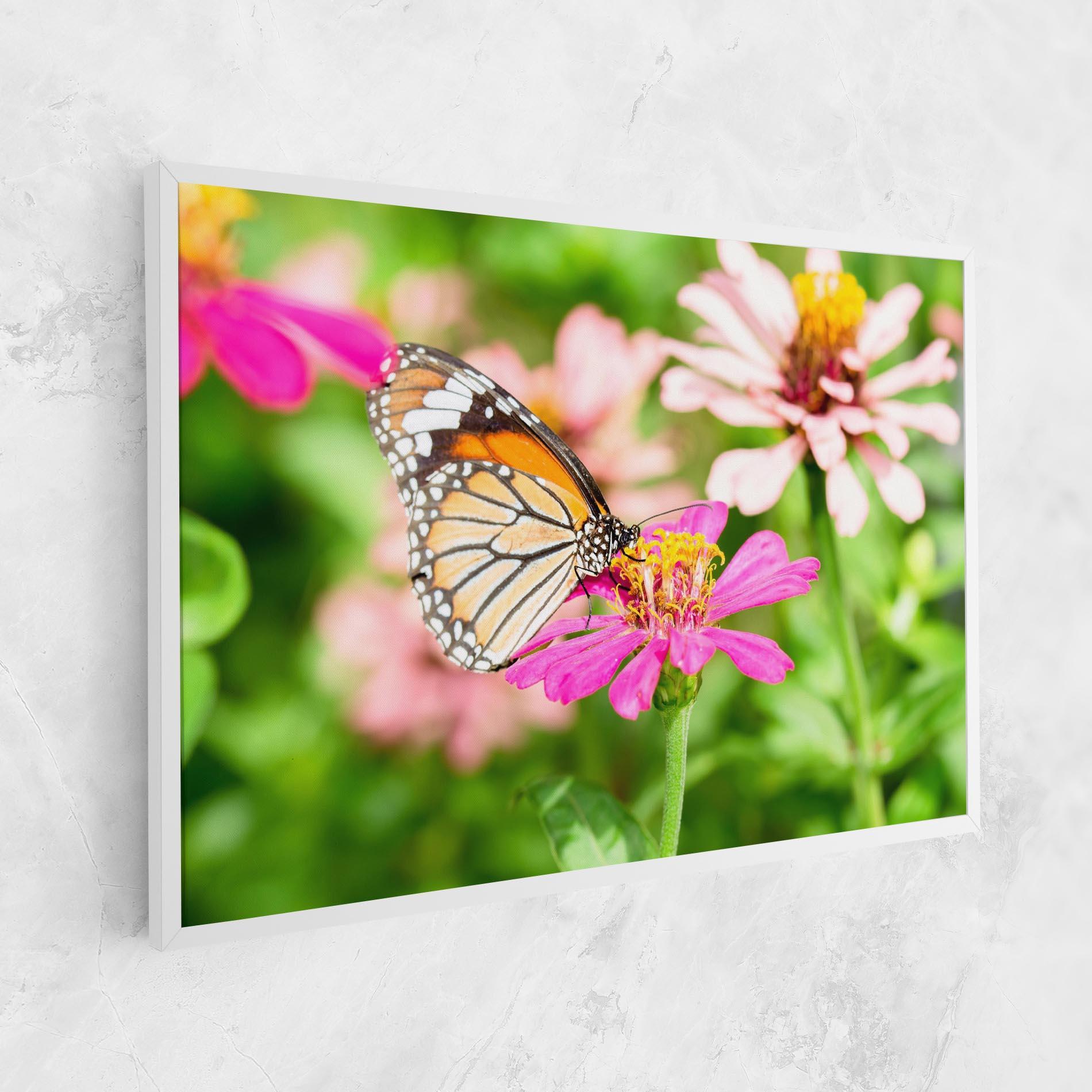Vászonkép Daylight Butterfly mockup 1