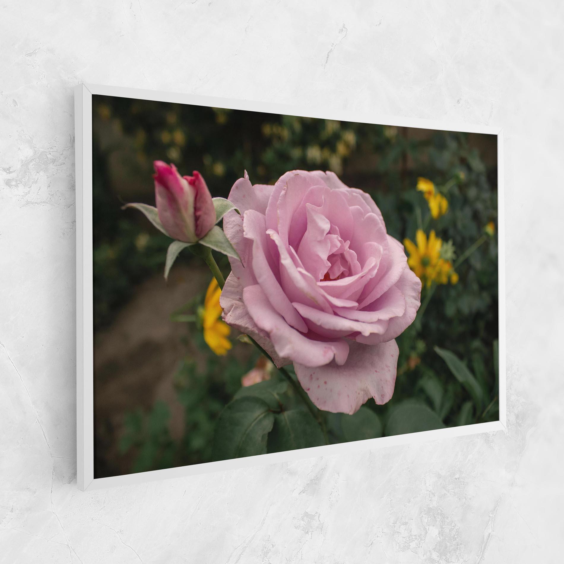 Vászonkép Garden Pink Rose mockup 1