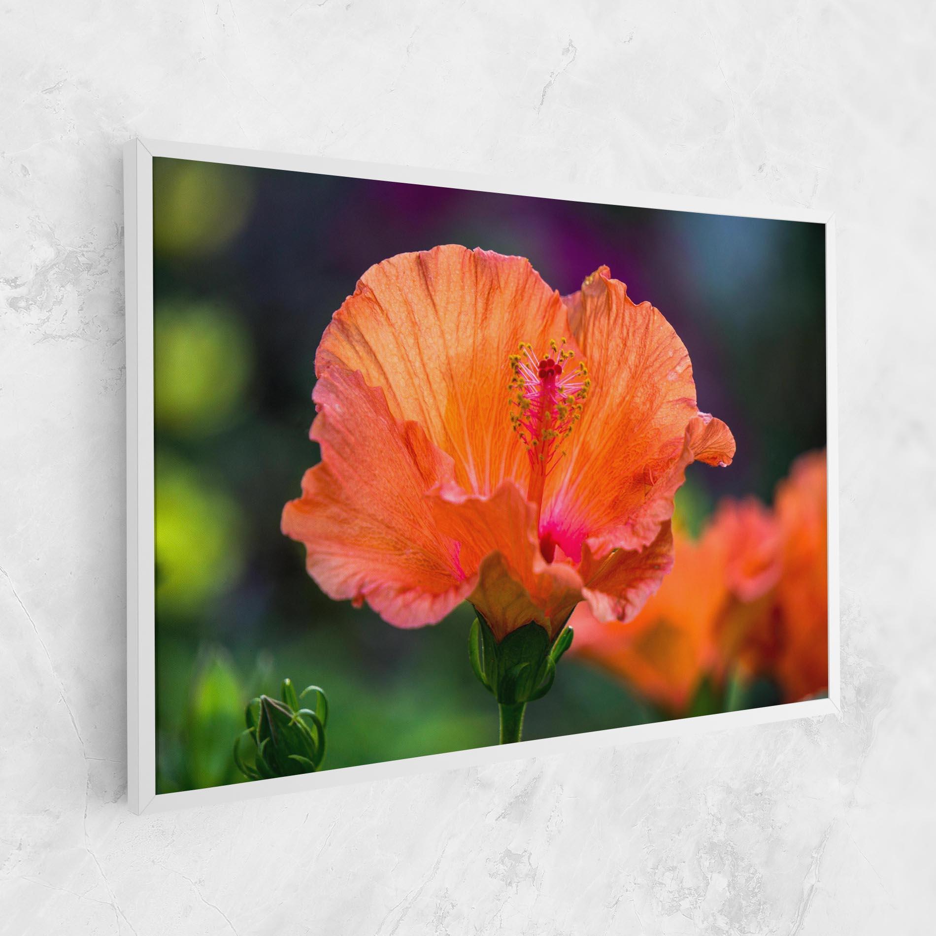 Vászonkép Orange Wild Flower mockup 1