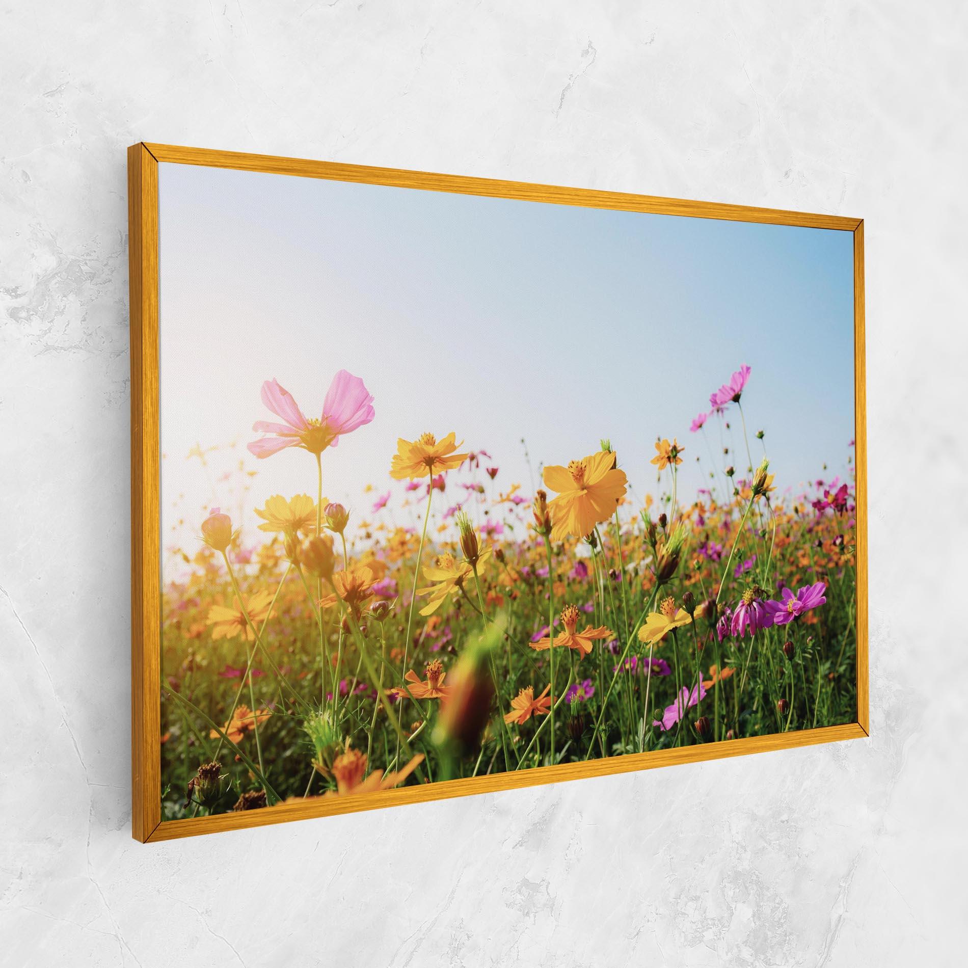 Vászonkép Cosmos Field Sunset mockup 1