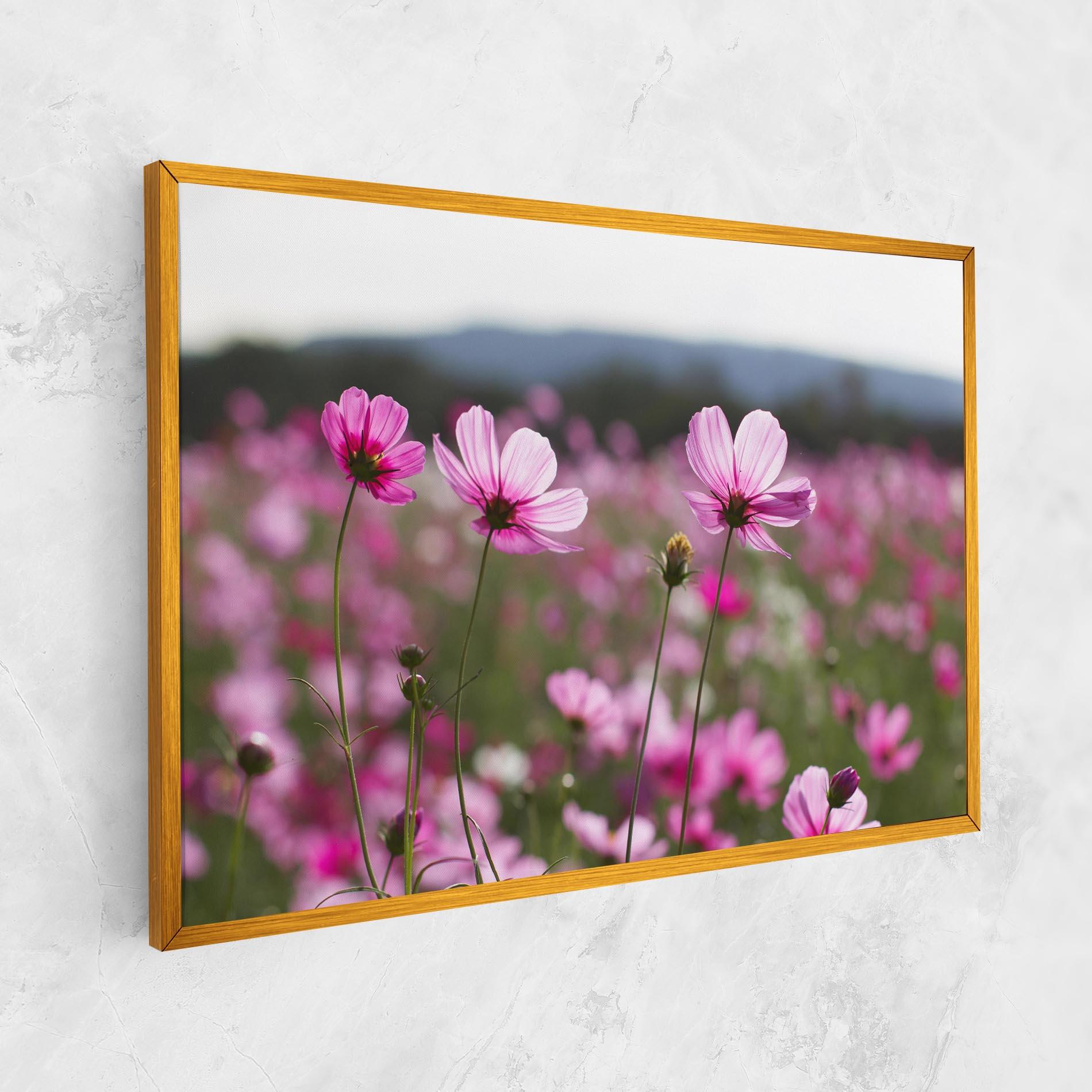 Vászonkép Cosmos Flower mockup 1