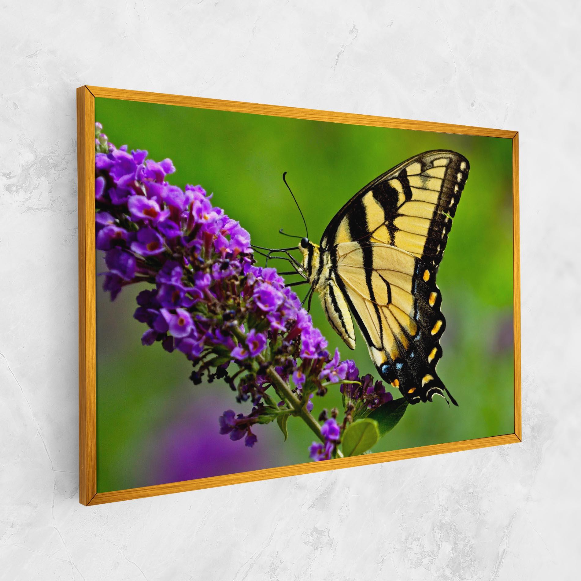Vászonkép Cream Wild Butterfly mockup 1