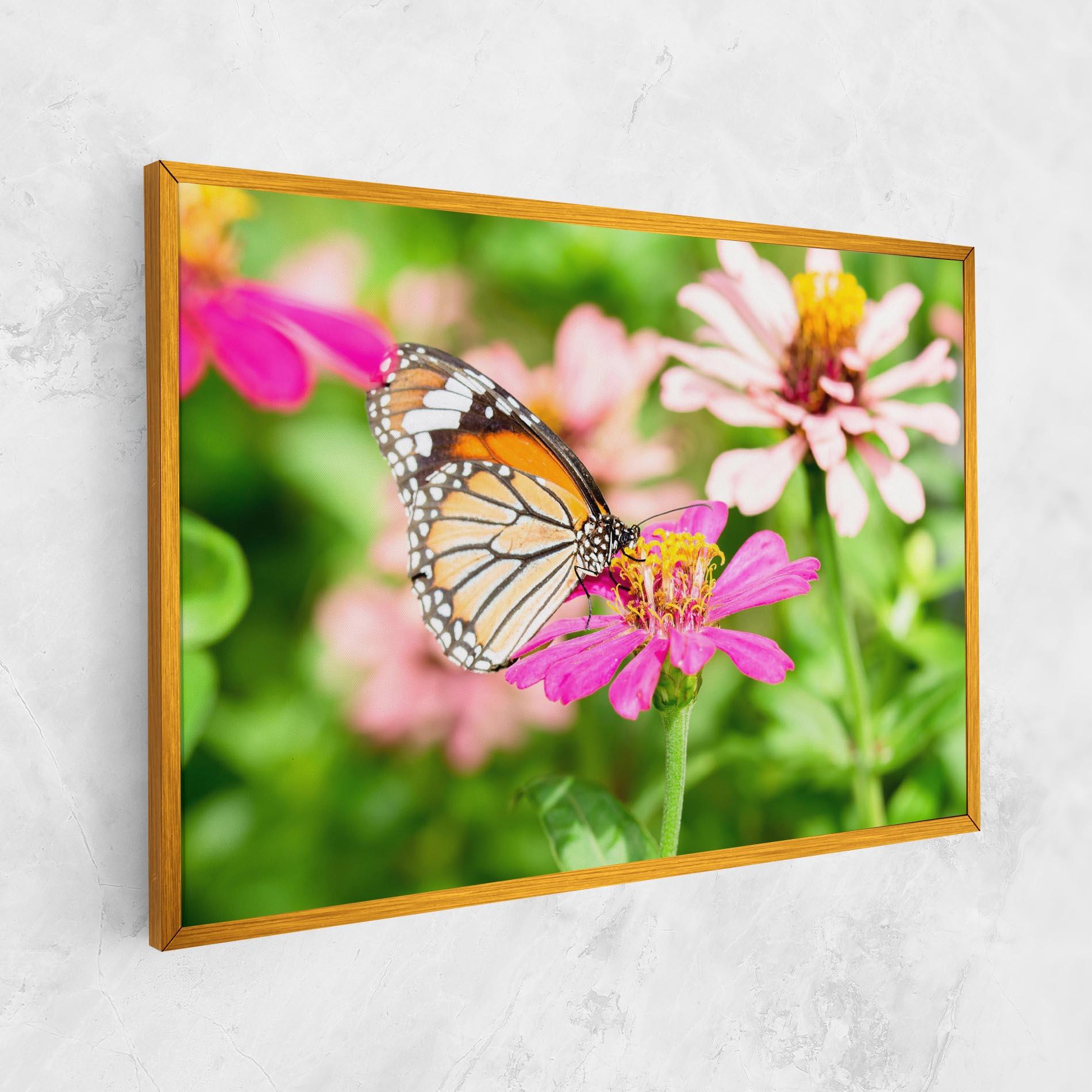 Vászonkép Daylight Butterfly mockup 1