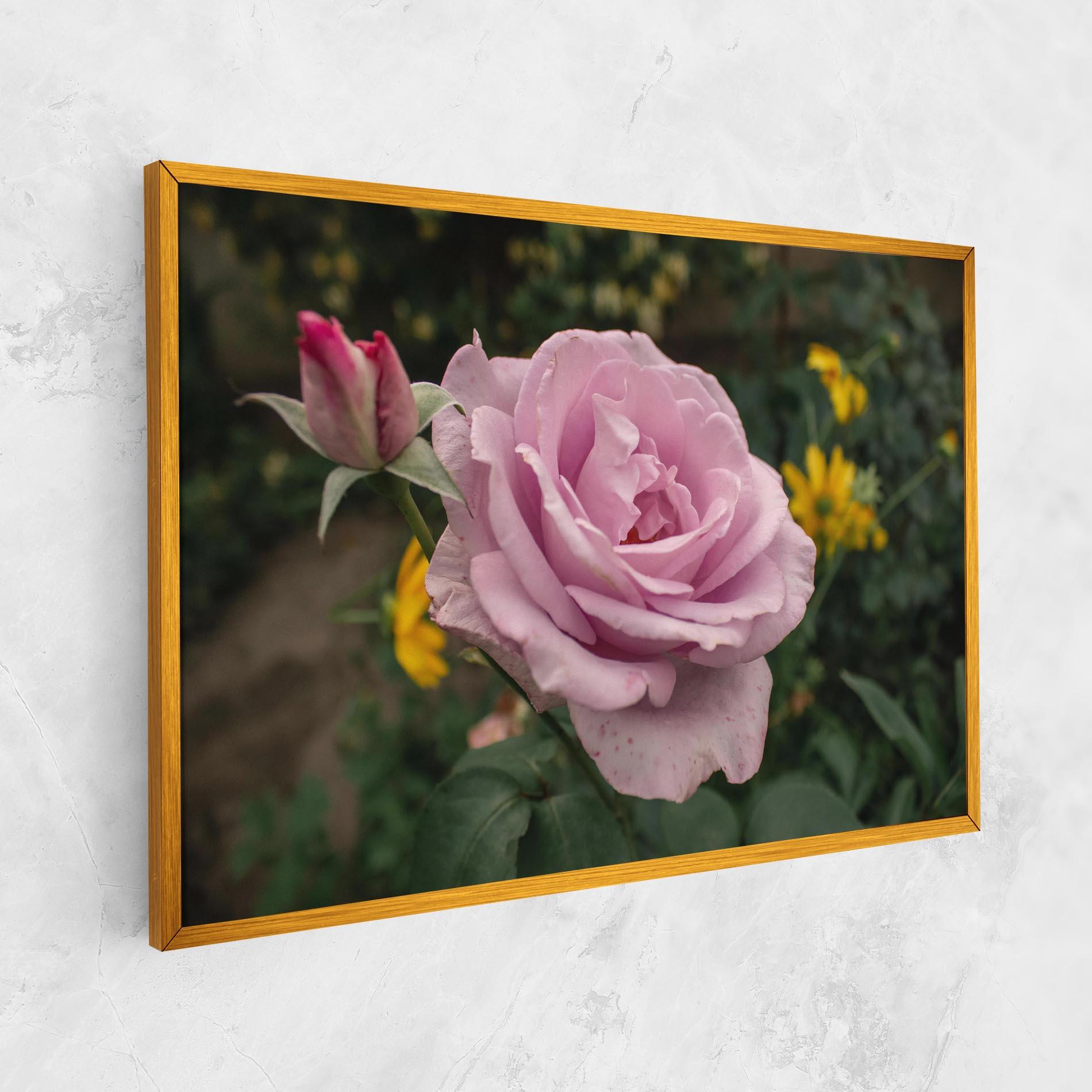 Vászonkép Garden Pink Rose mockup 1