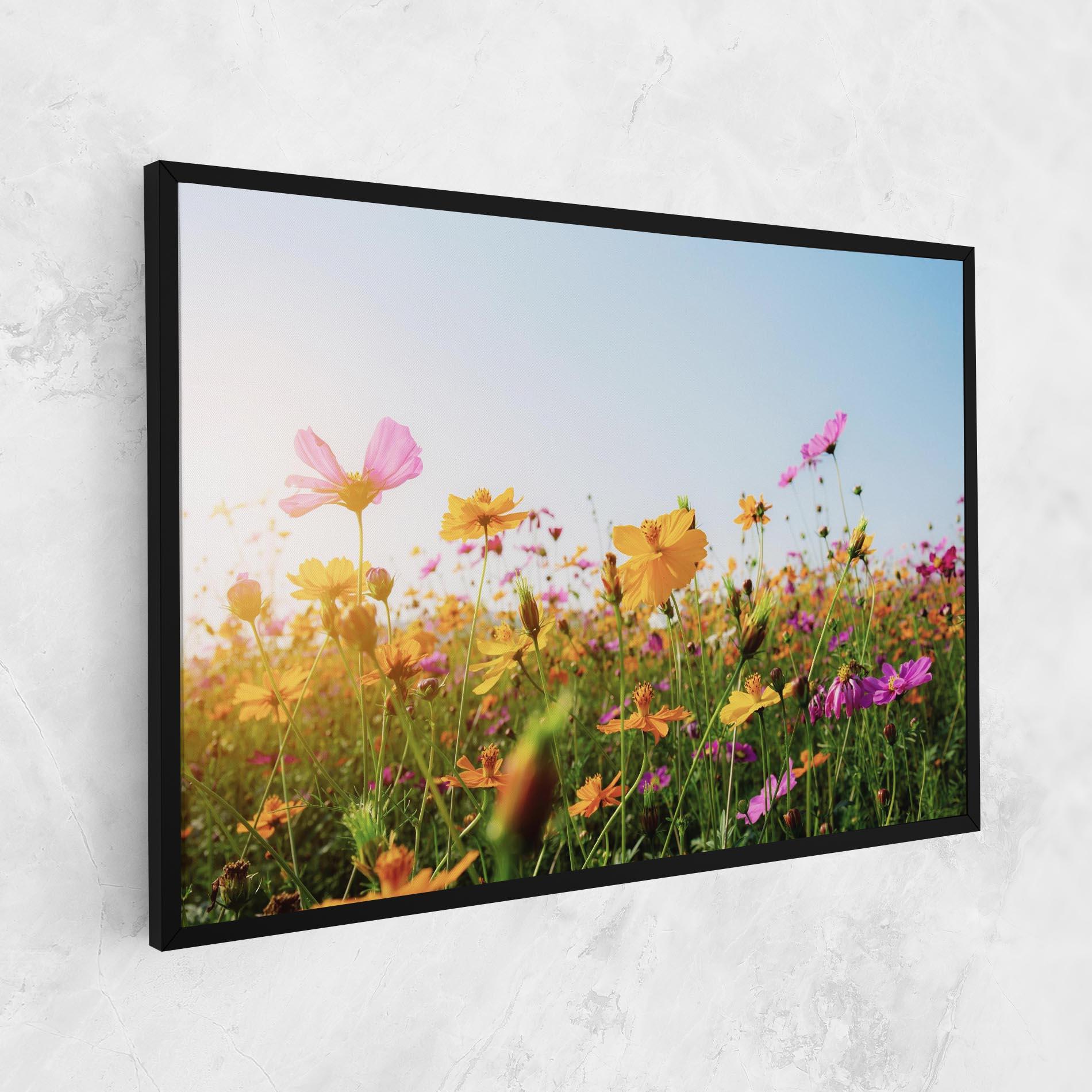 Vászonkép Cosmos Field Sunset mockup 1