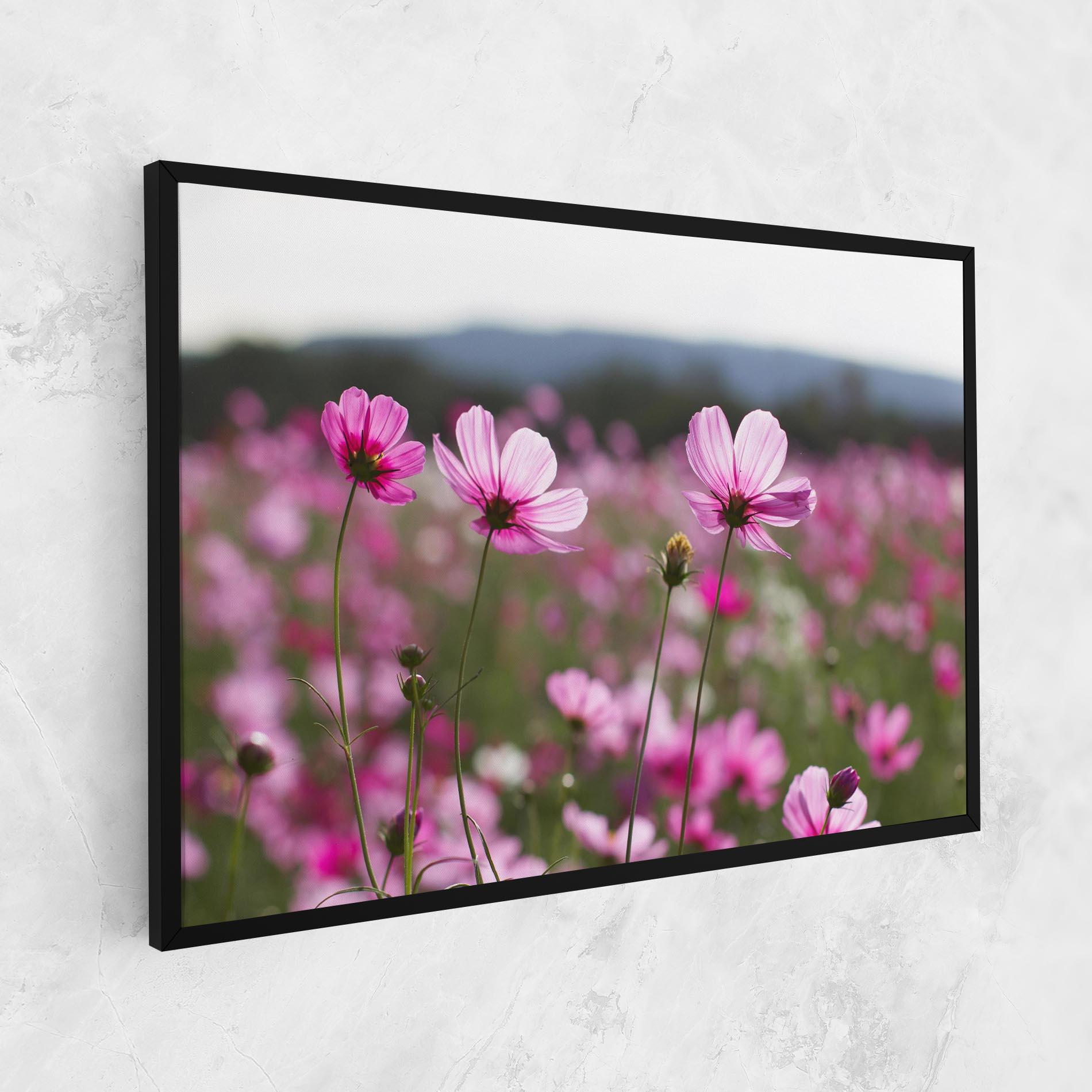 Vászonkép Cosmos Flower mockup 1